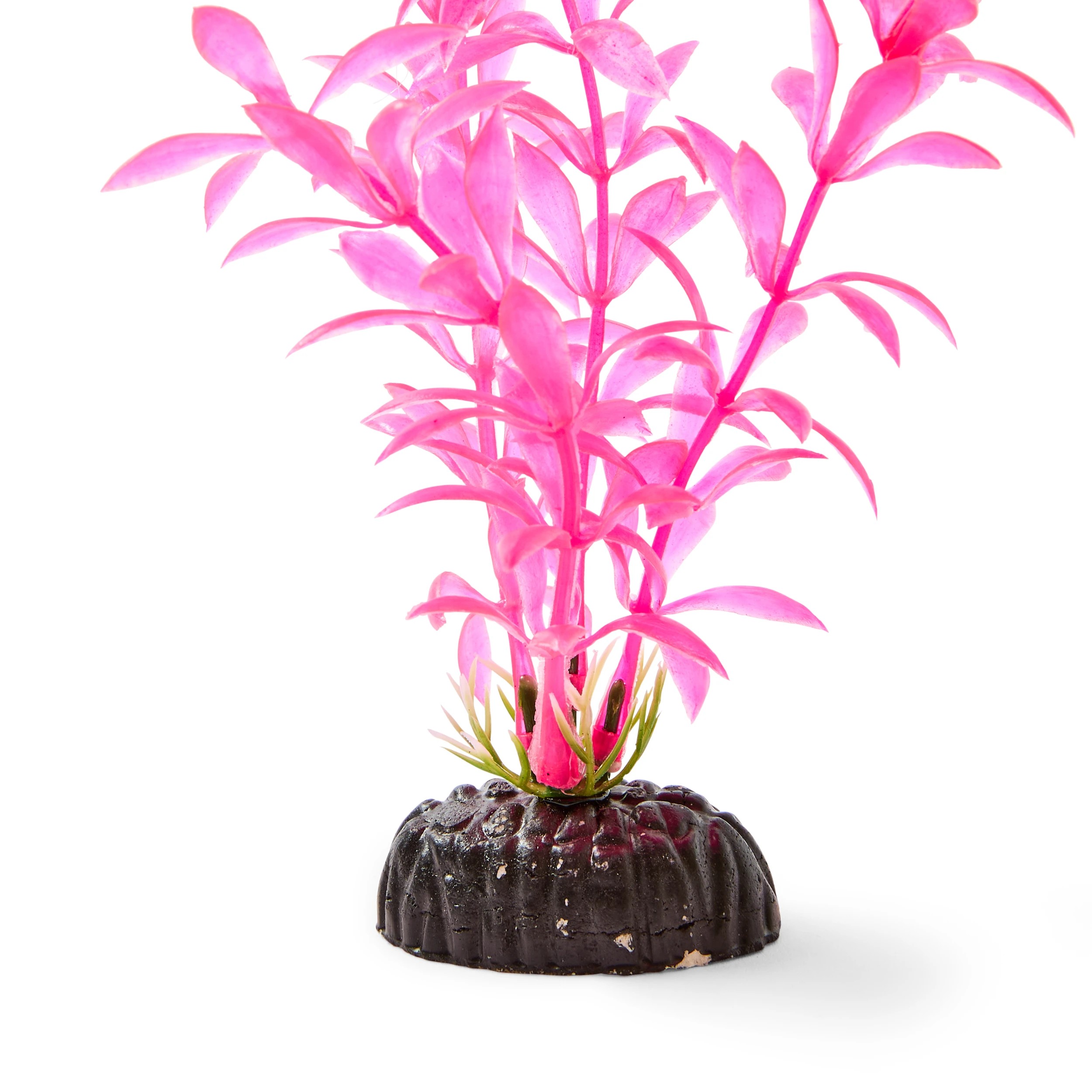 3 6 Pack Aquarium Bright Plants - Small, 3 of 10