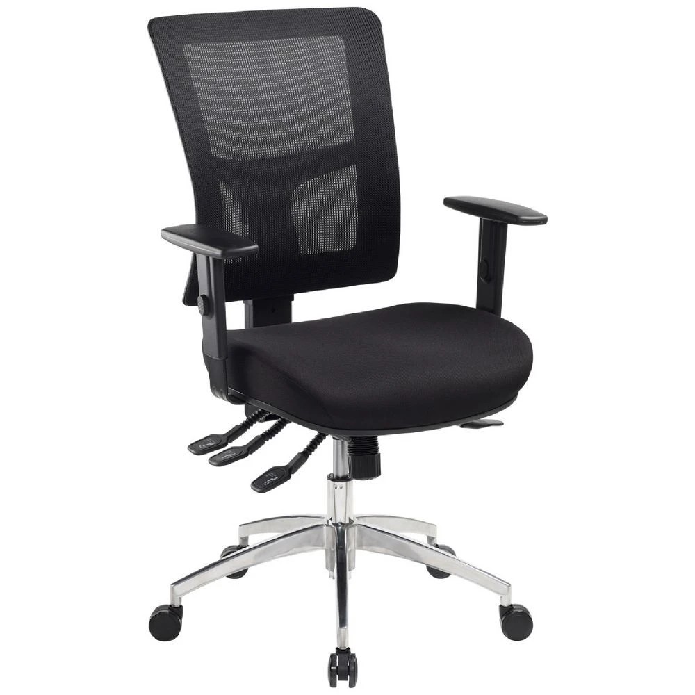 1 Pago Enduro Heavy Duty Ergonomic Chair Ergonomic Chairs and Desk Chairs, 1 of 10