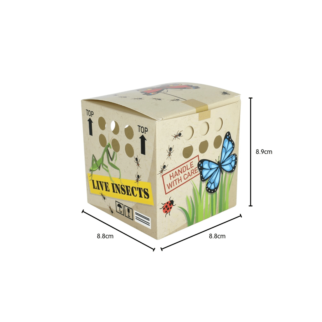 2 Fun Express Backyard Adventures Lolly/Treat Boxes Pack of 12, 2 of 2