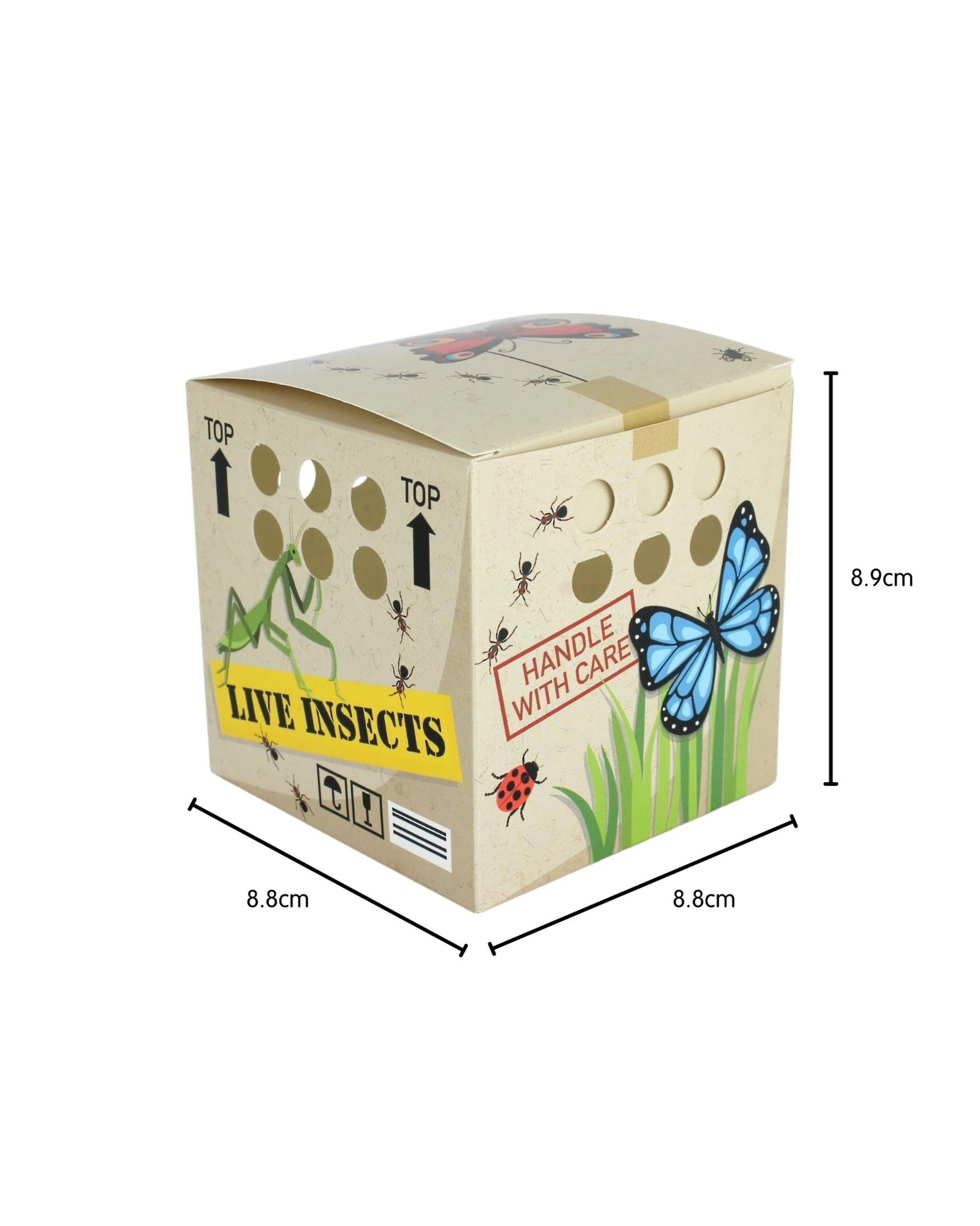 2 Partyrama Backyard Adventures Lolly/Treat Boxes Pack of 12, 2 of 2