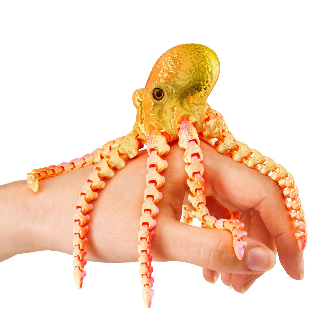 5 ToyMania 3D Lab Large Animal - Assorted, 5 of 5