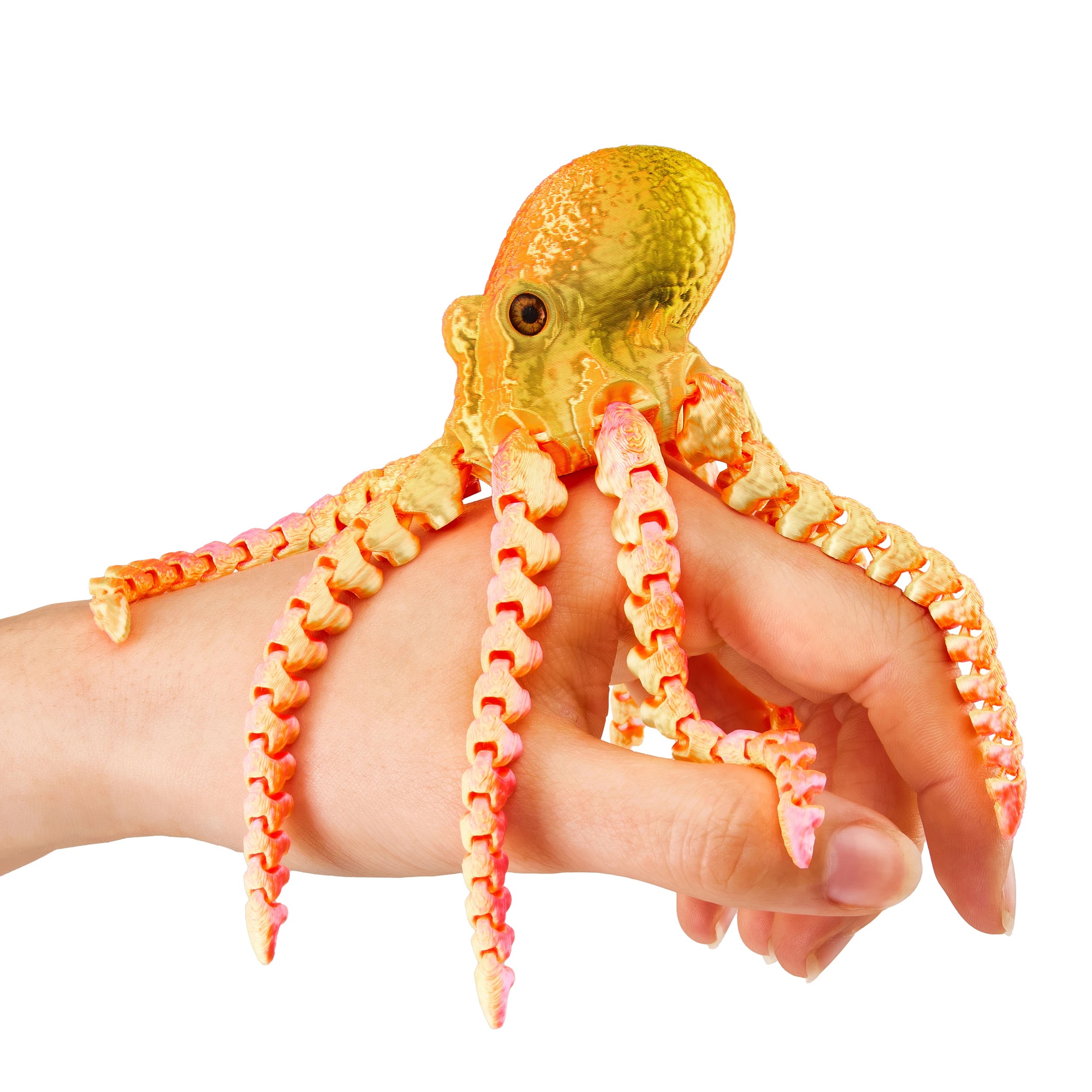 6 ToyMania 3D Lab Large Animal - Assorted, 6 of 6