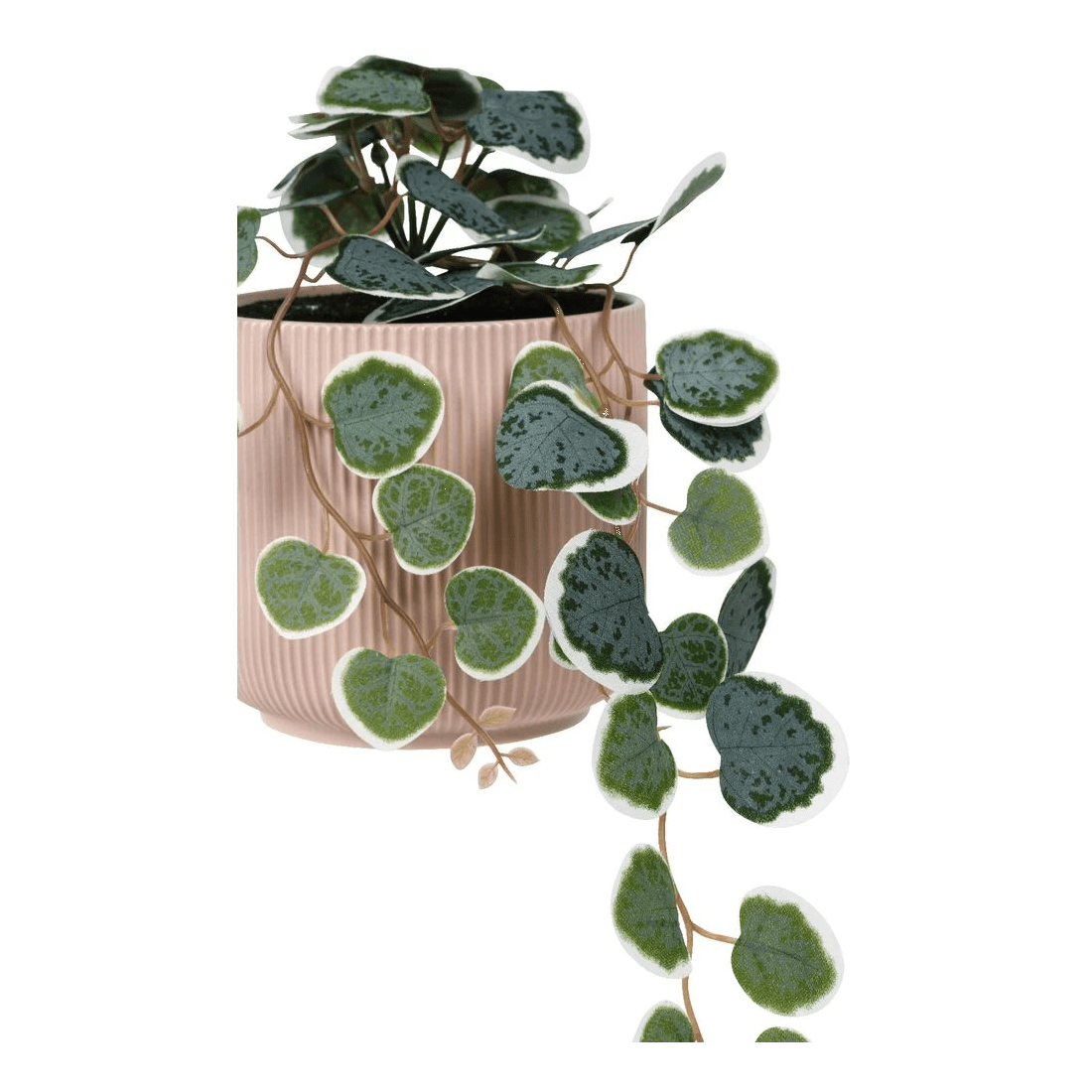 2 Otto Ribbed Hanging Planter with Plant Pink, 2 of 3