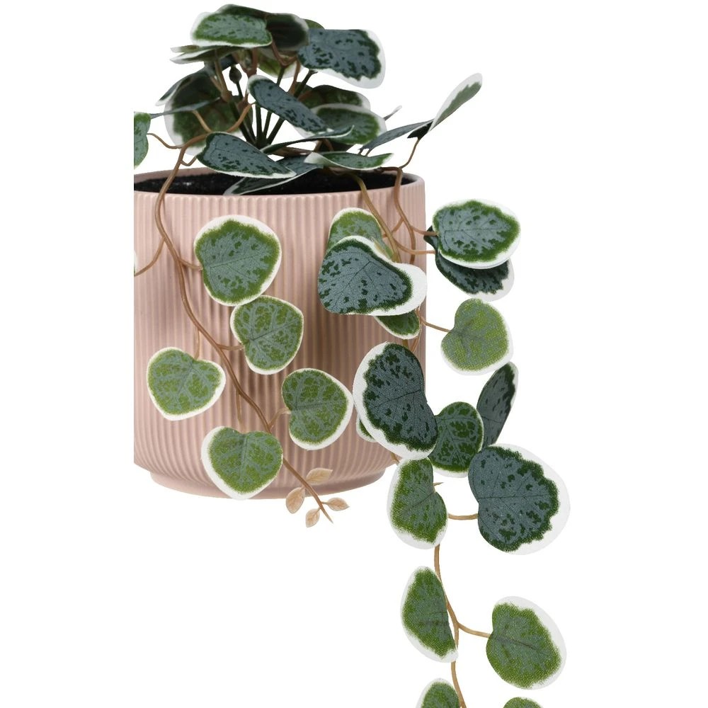2 Otto Ribbed Hanging Planter with Plant Pink, 2 of 3