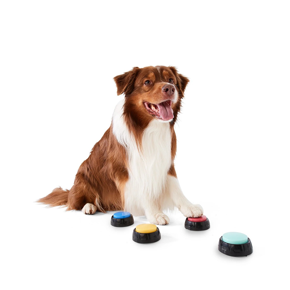 1 Pet Talking Buttons, 1 of 8