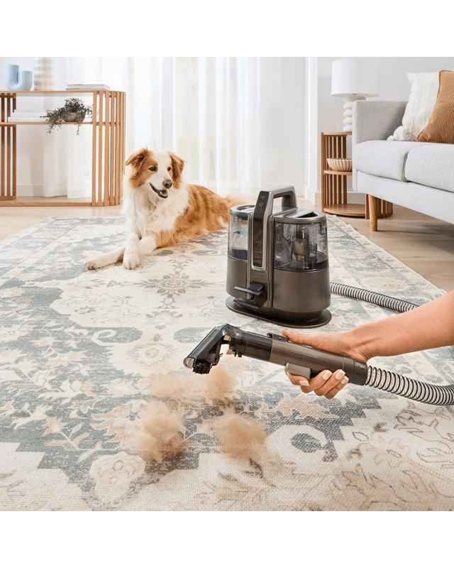 Cordless Spot Cleaner - Grey and B