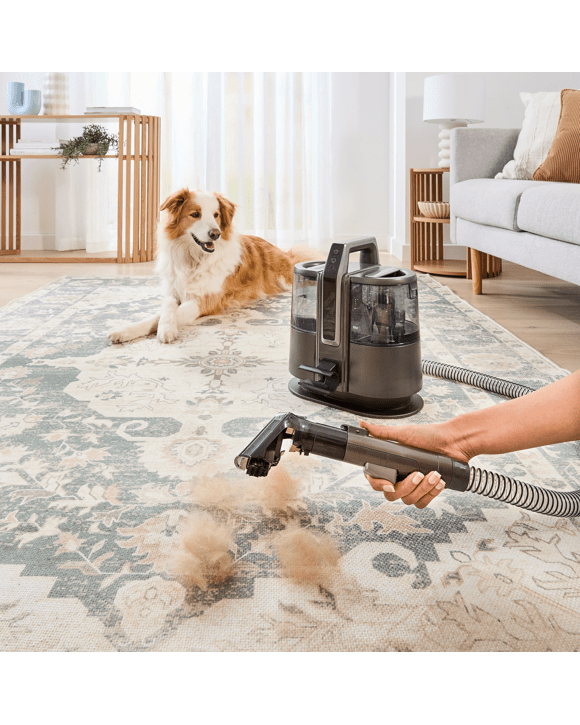 Cordless Spot Cleaner - Grey and Black