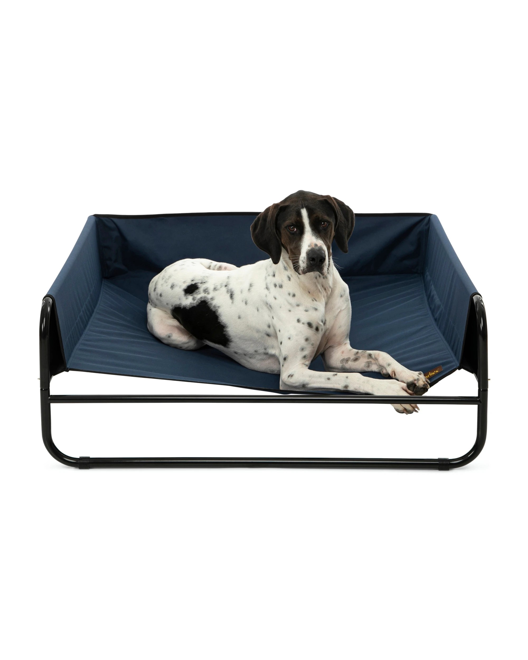 1 Charlie's High Walled Outdoor Trampoline Dog Bed Large - Blue, 1 of 6