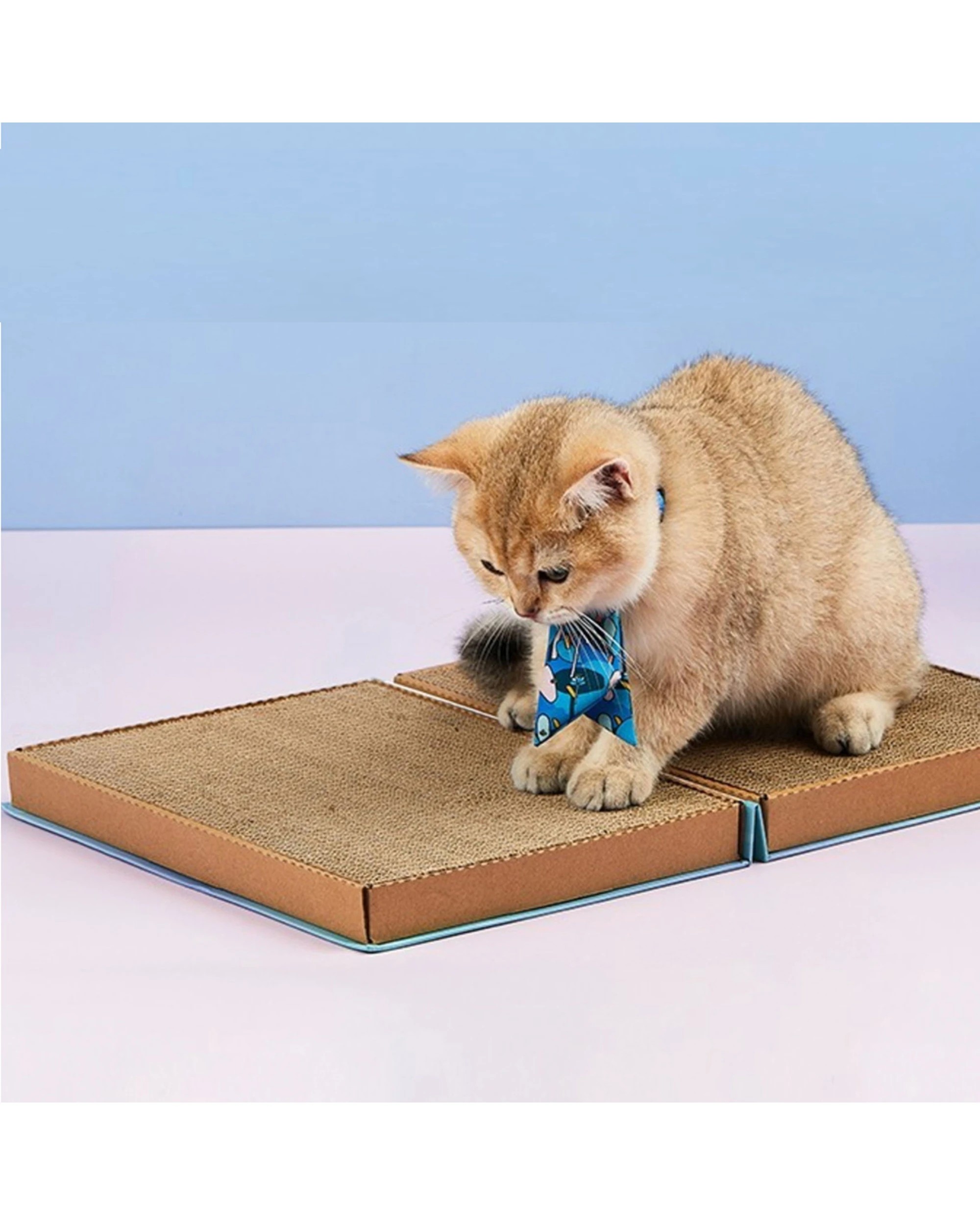 6 Petkit Catpedia Scratcher Book Corrugated Paper Includes Catnip Expandable - Blue, 6 of 6