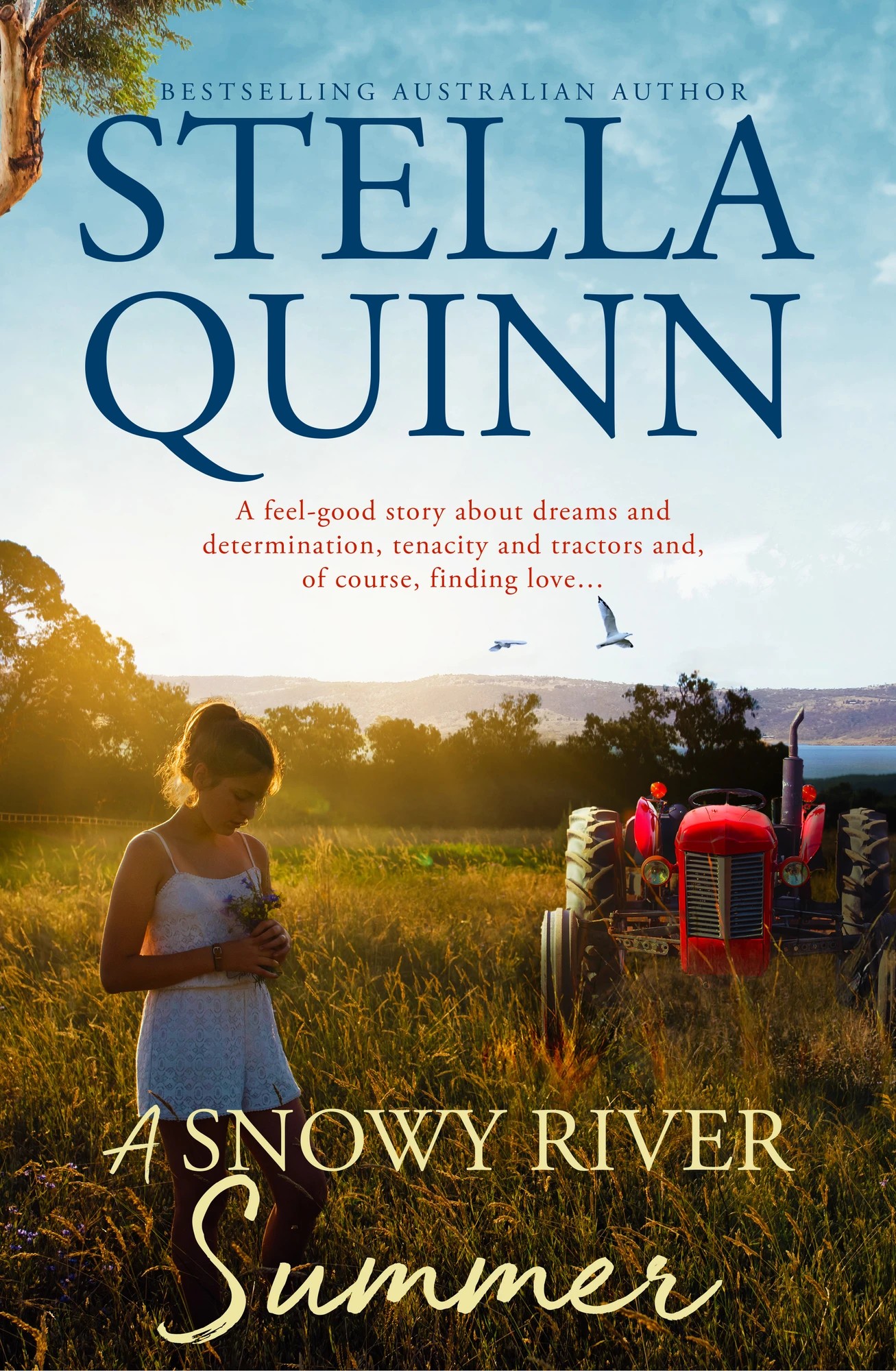1 A Snowy River Summer by Stella Quinn - Book