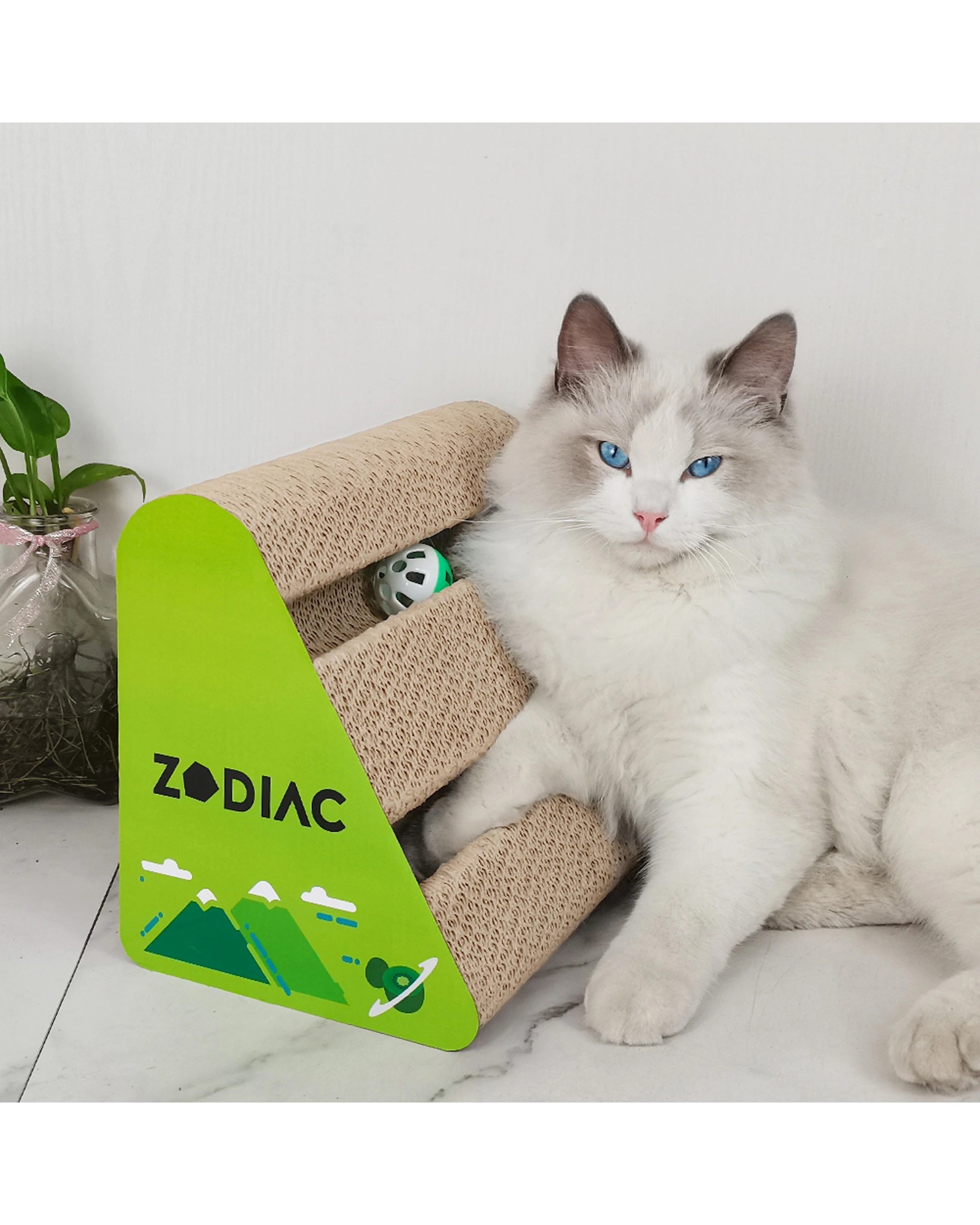 5 Zodiac Kiwi 28x17cm Triangle Cat Scratcher With Ball Durable Corrugated Cardboard Toy - Green, 5 of 5