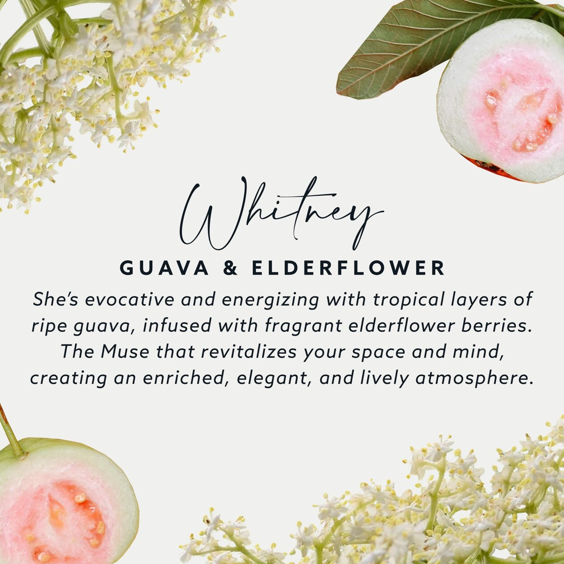 6 Maison and Muse Whitney Car Air Freshener - Guava and Elderflower Fragrance, 6 of 7