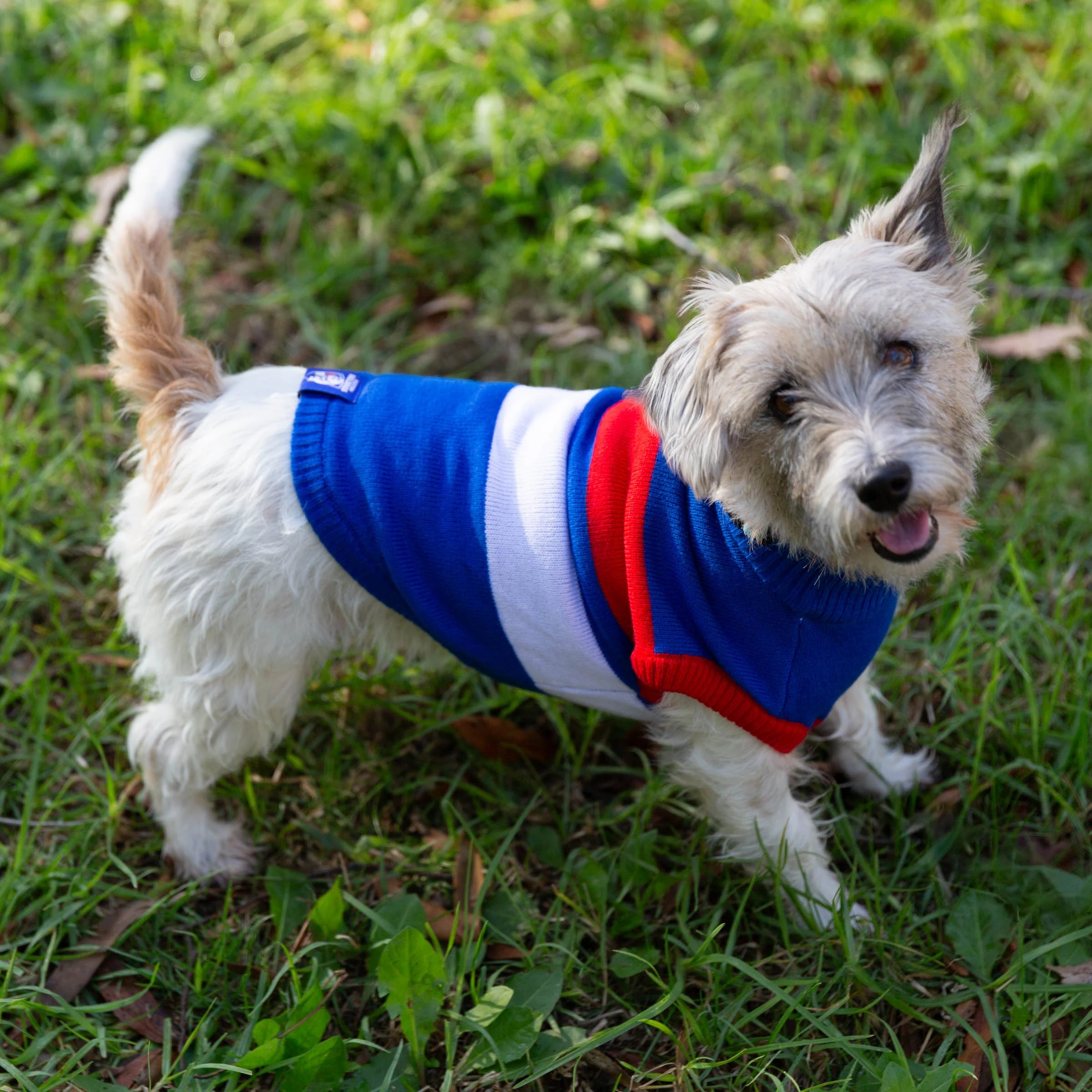 4 AFL Western Bulldogs Pet Jumper - Medium, 4 of 4