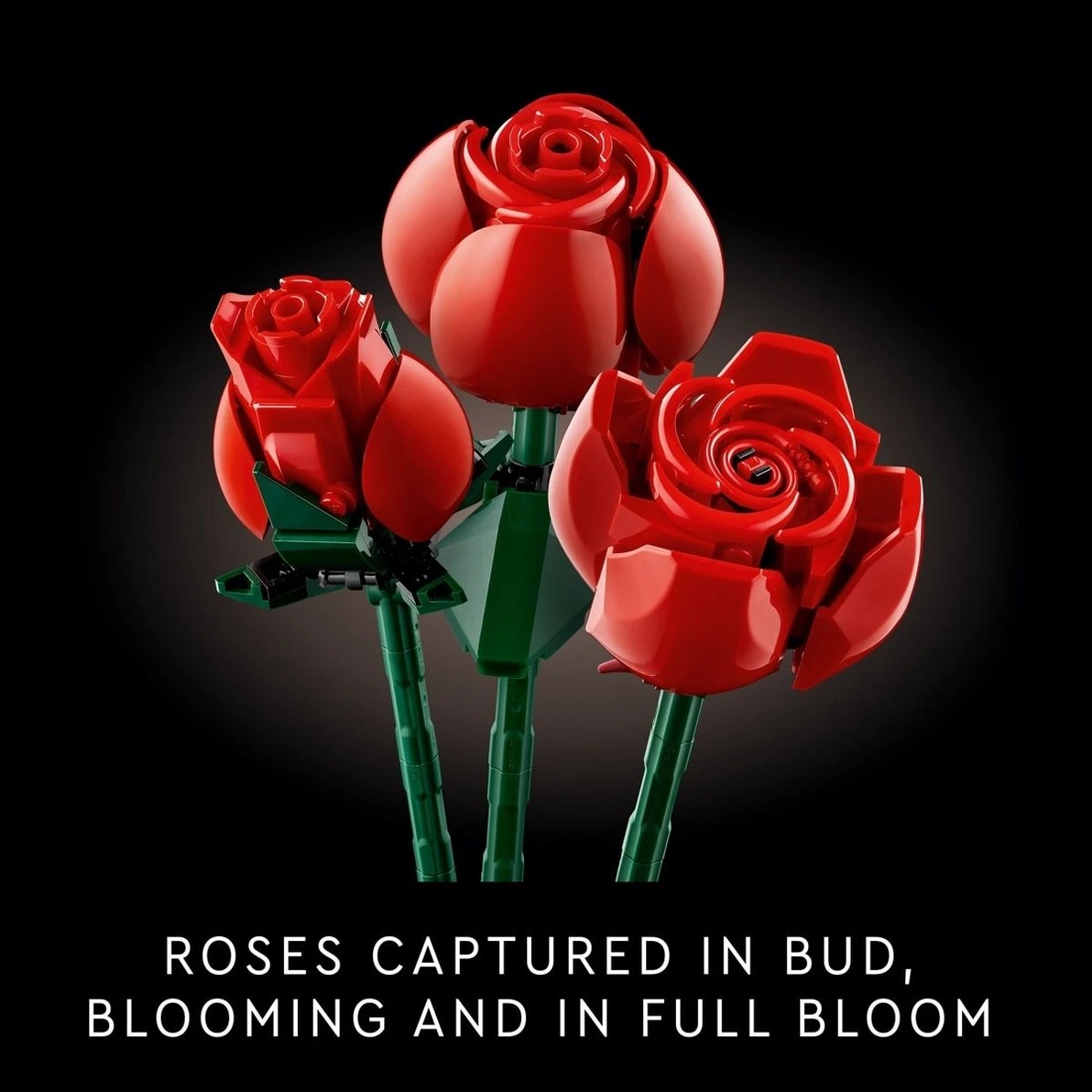 7 LEGO Botanicals Bouquet of Roses 10328, 7 of 10