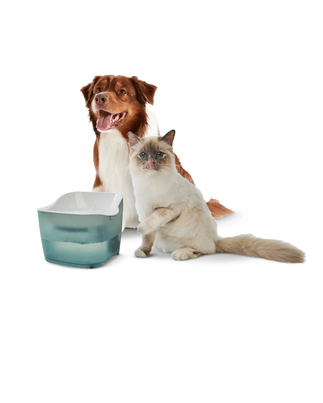 Pet Water Foun