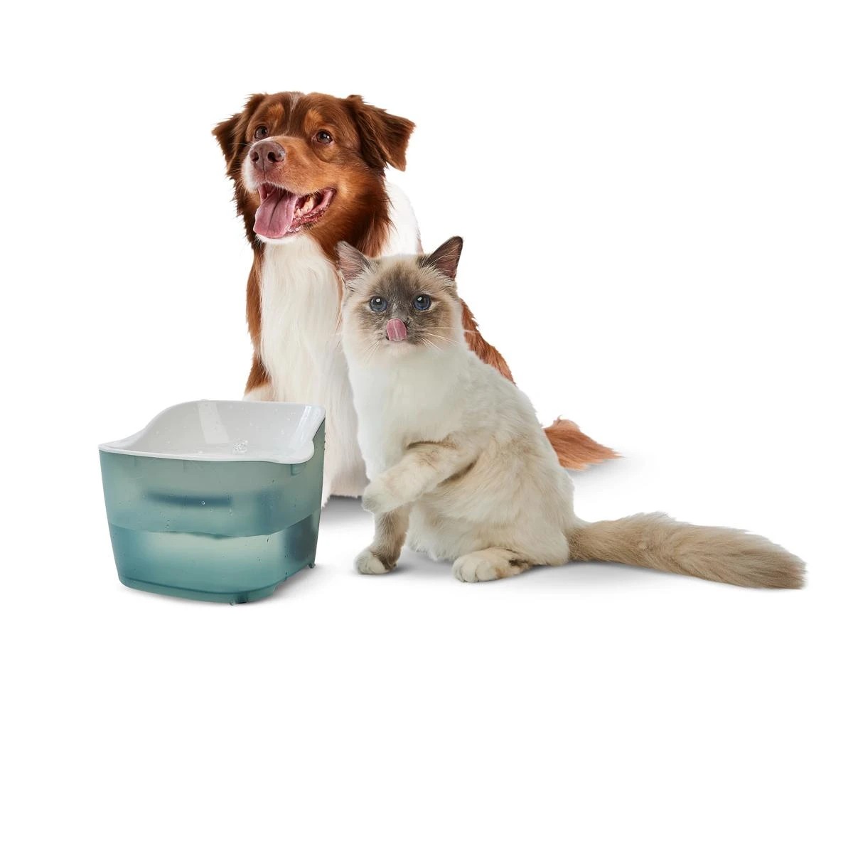 1 Pet Water Fountain, 1 of 10