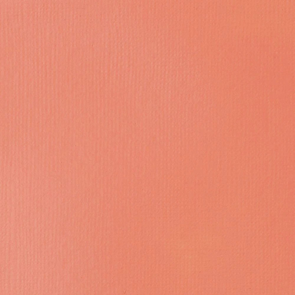 5 Liquitex Basics 118mL Paint Light Portrait Pink, 5 of 5