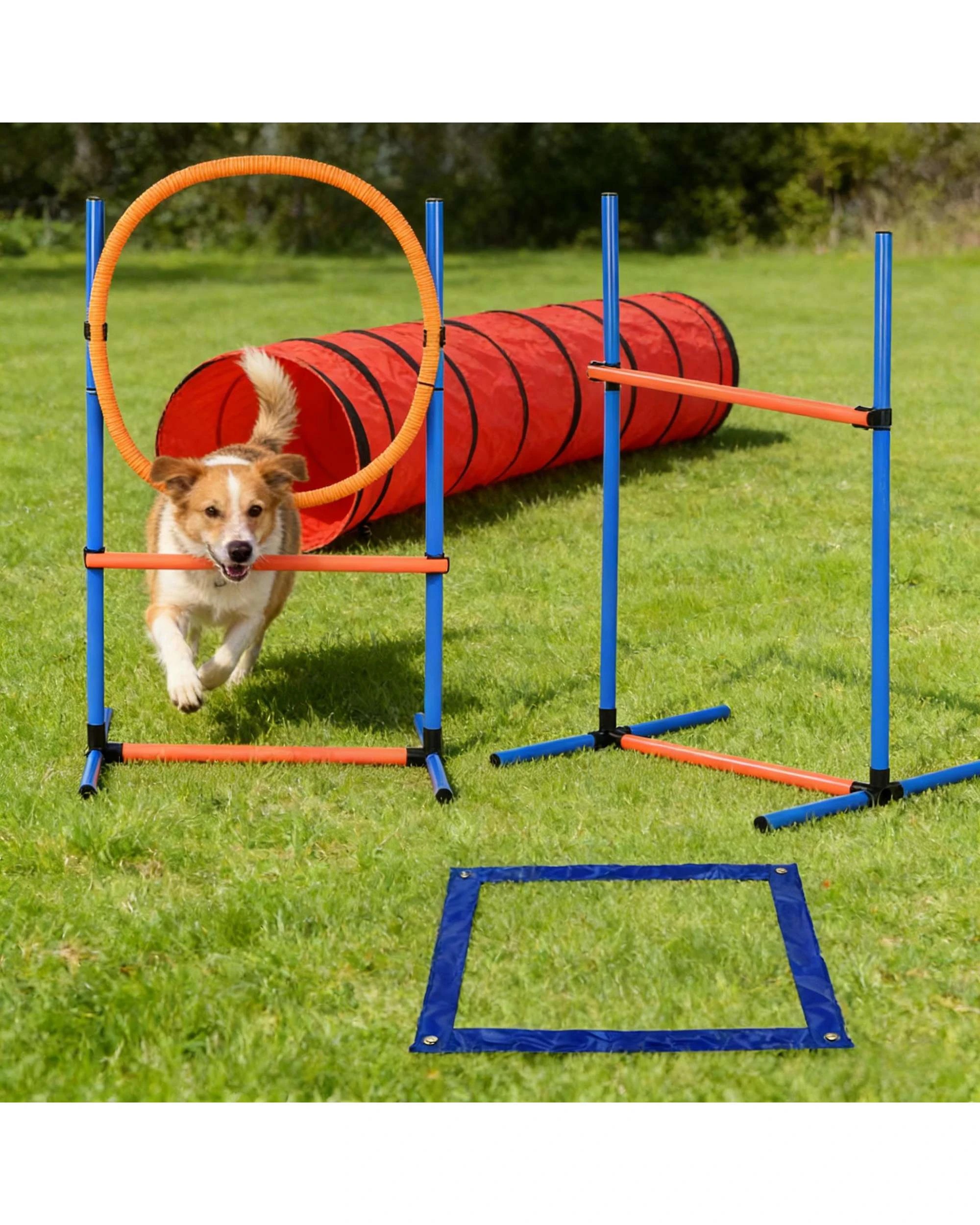 2 Advwin Dog Agility Training Equipment Set Pet Outdoor Game, 2 of 7