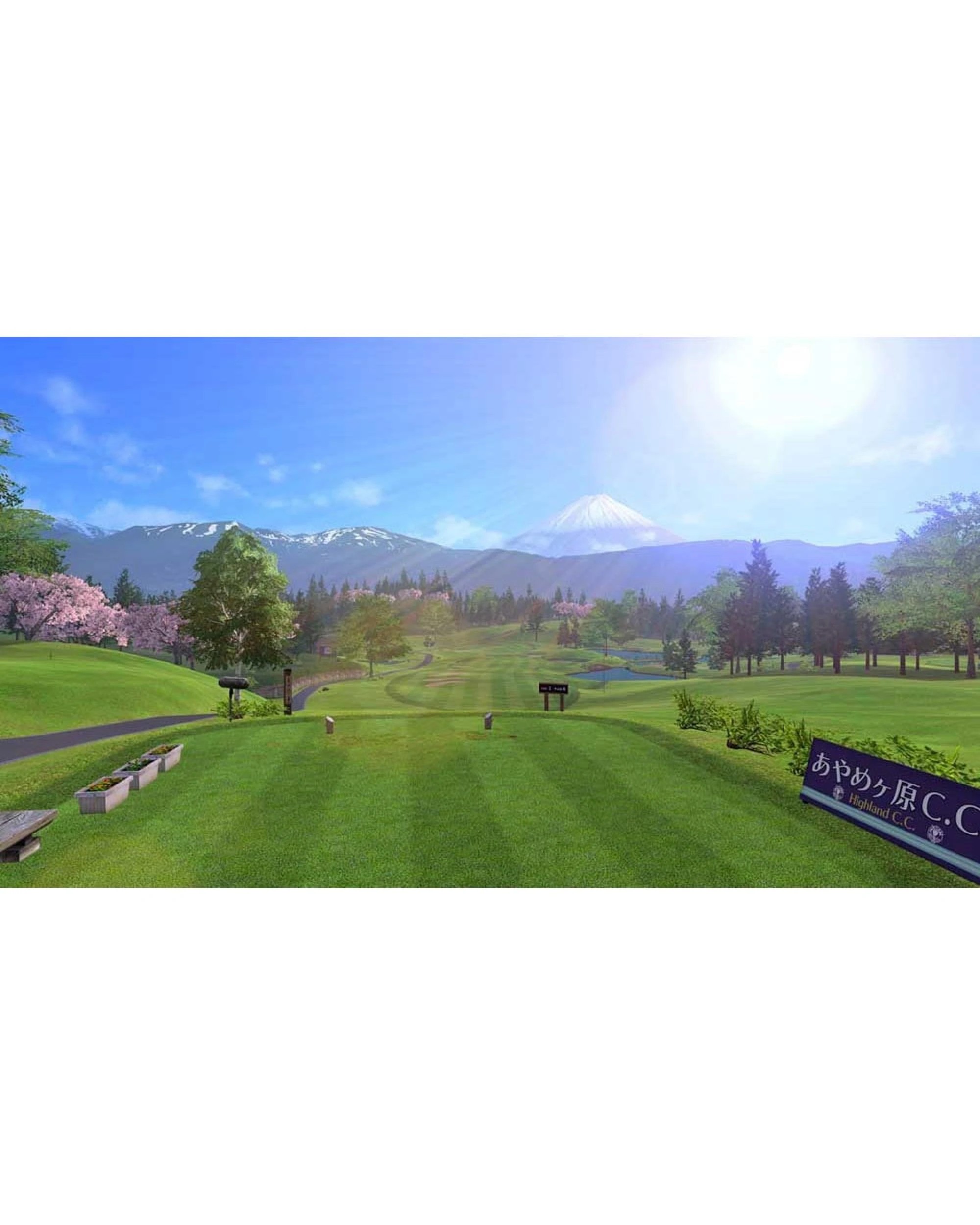 7 Everybody's Golf Hot Shots - Switch, 7 of 8