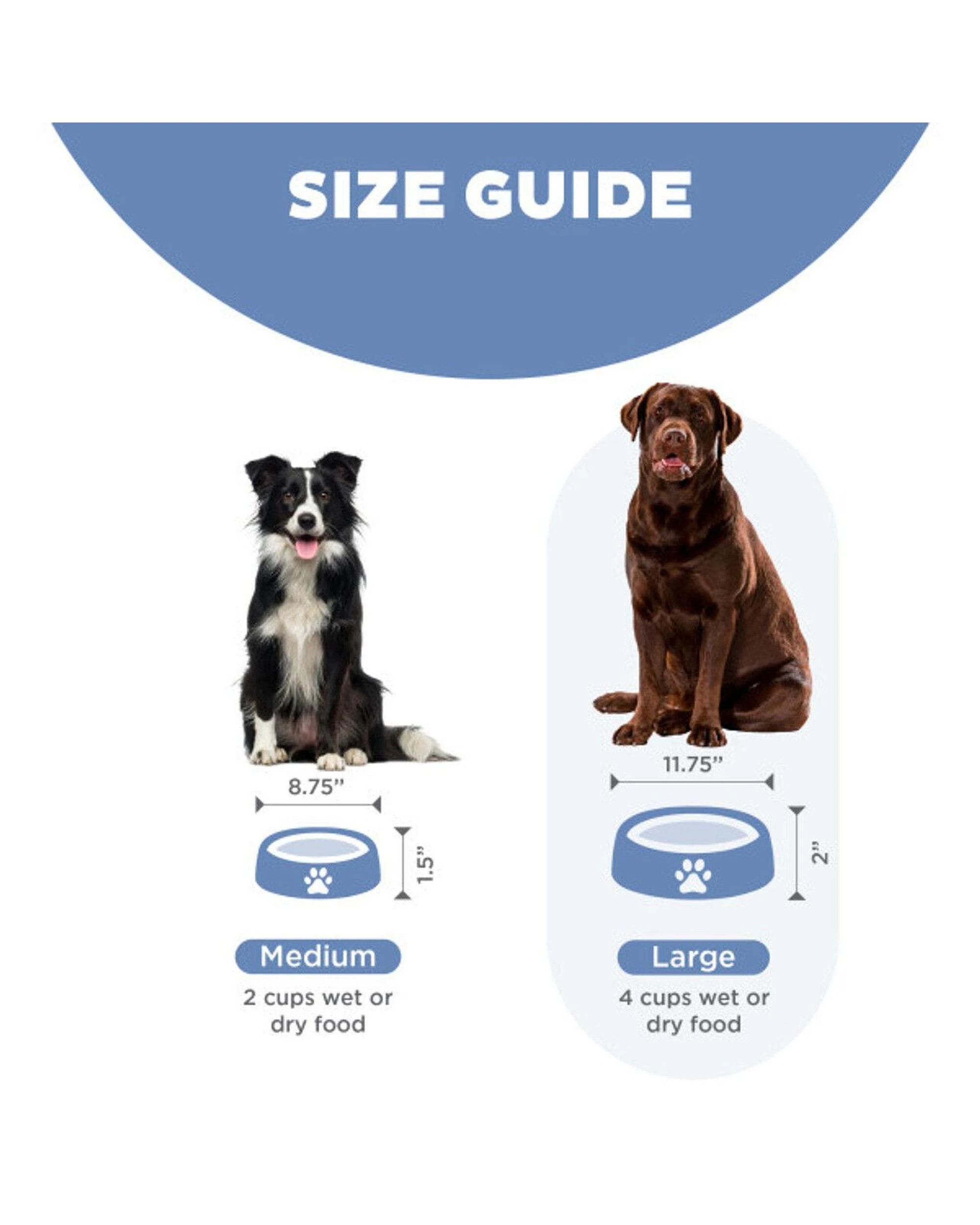 5 Outward Hound Fun Feeder Interactive Slow Bowl Notch for Dogs Blue Medium, 5 of 6