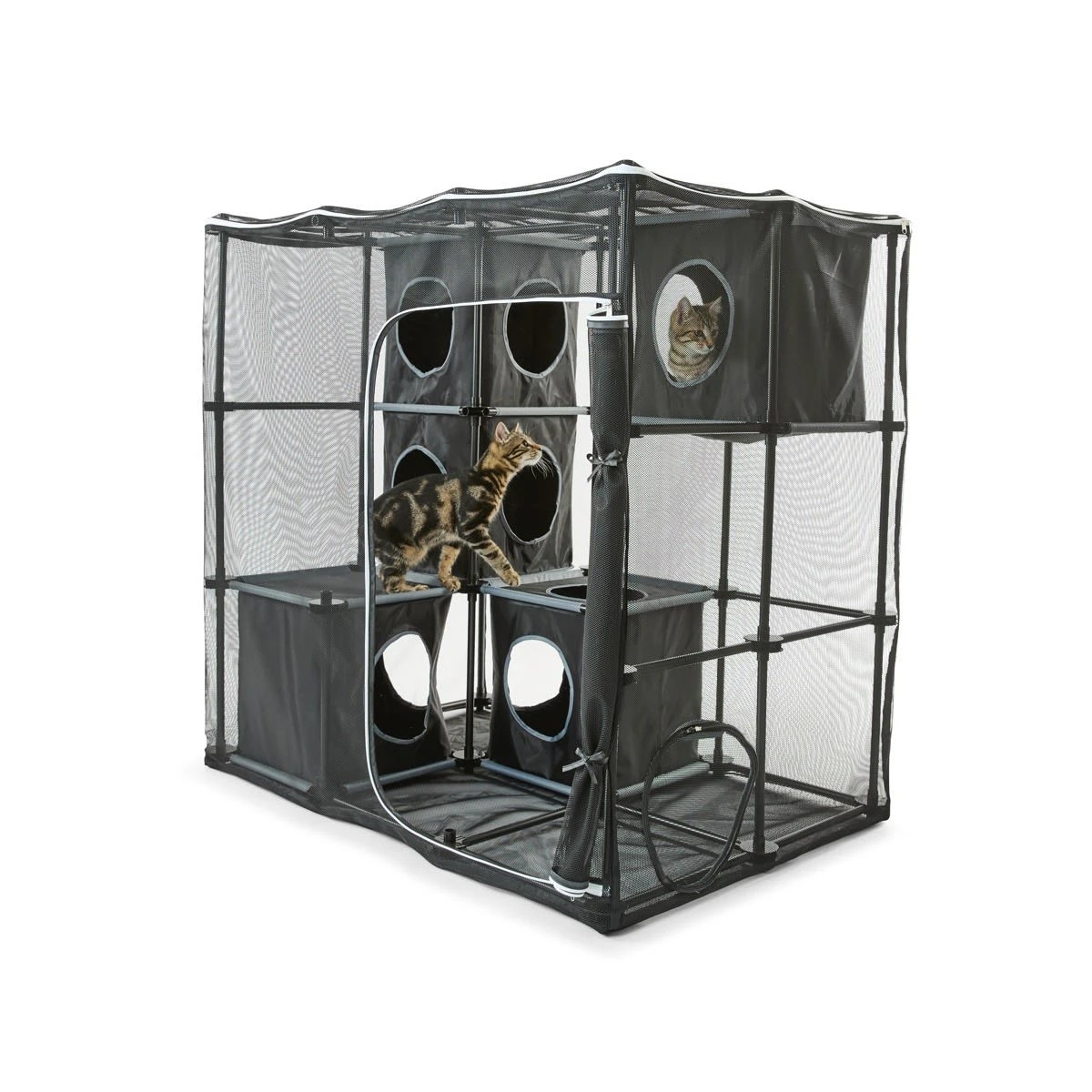 1 Cat Enclosure, 1 of 10