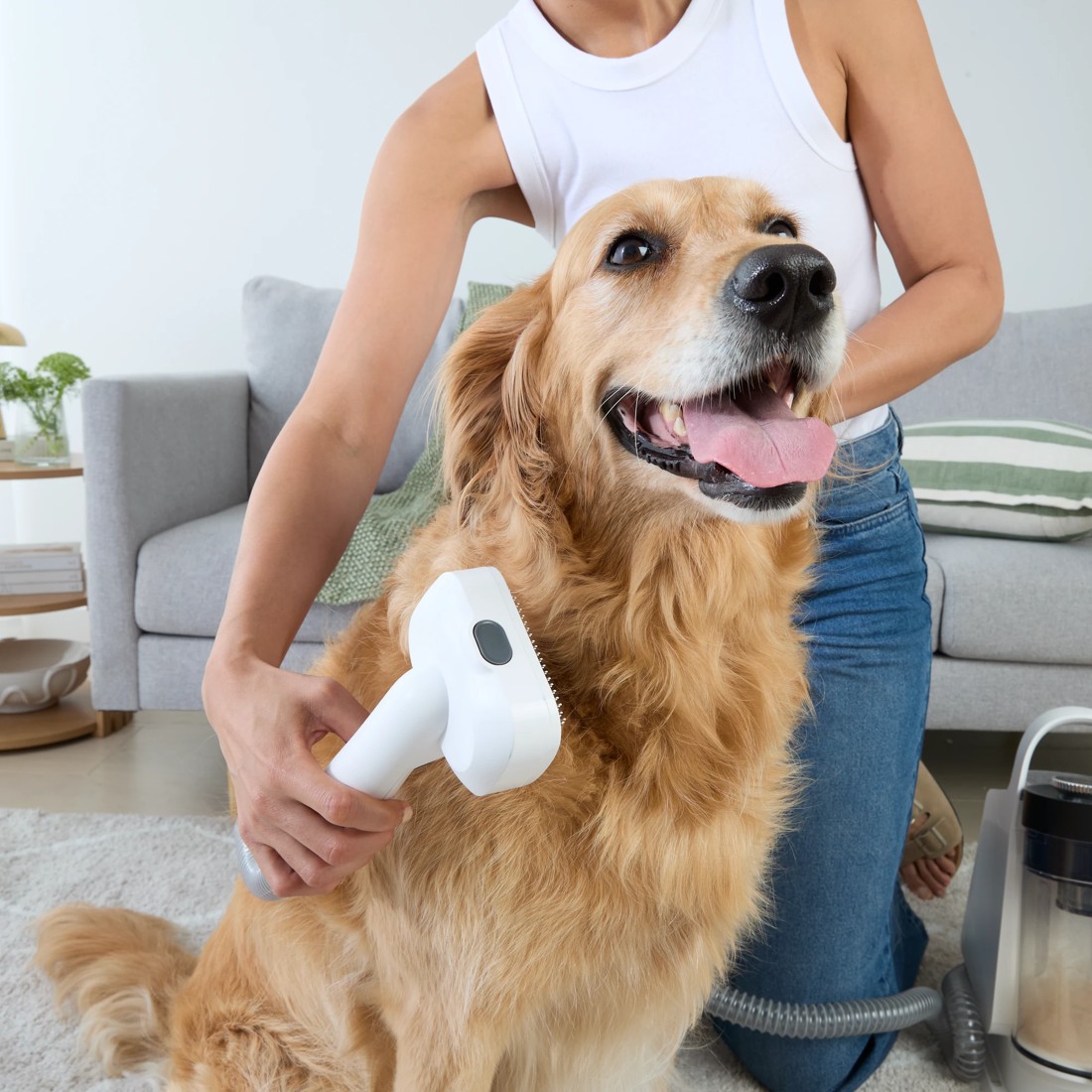 1 Pet Vacuum and Grooming Kit, 1 of 10