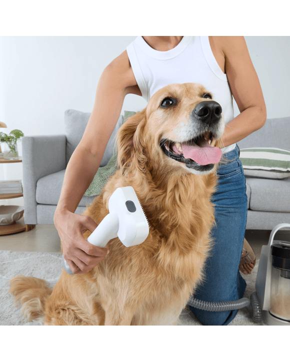 Pet Vacuum and Grooming Kit Kmart