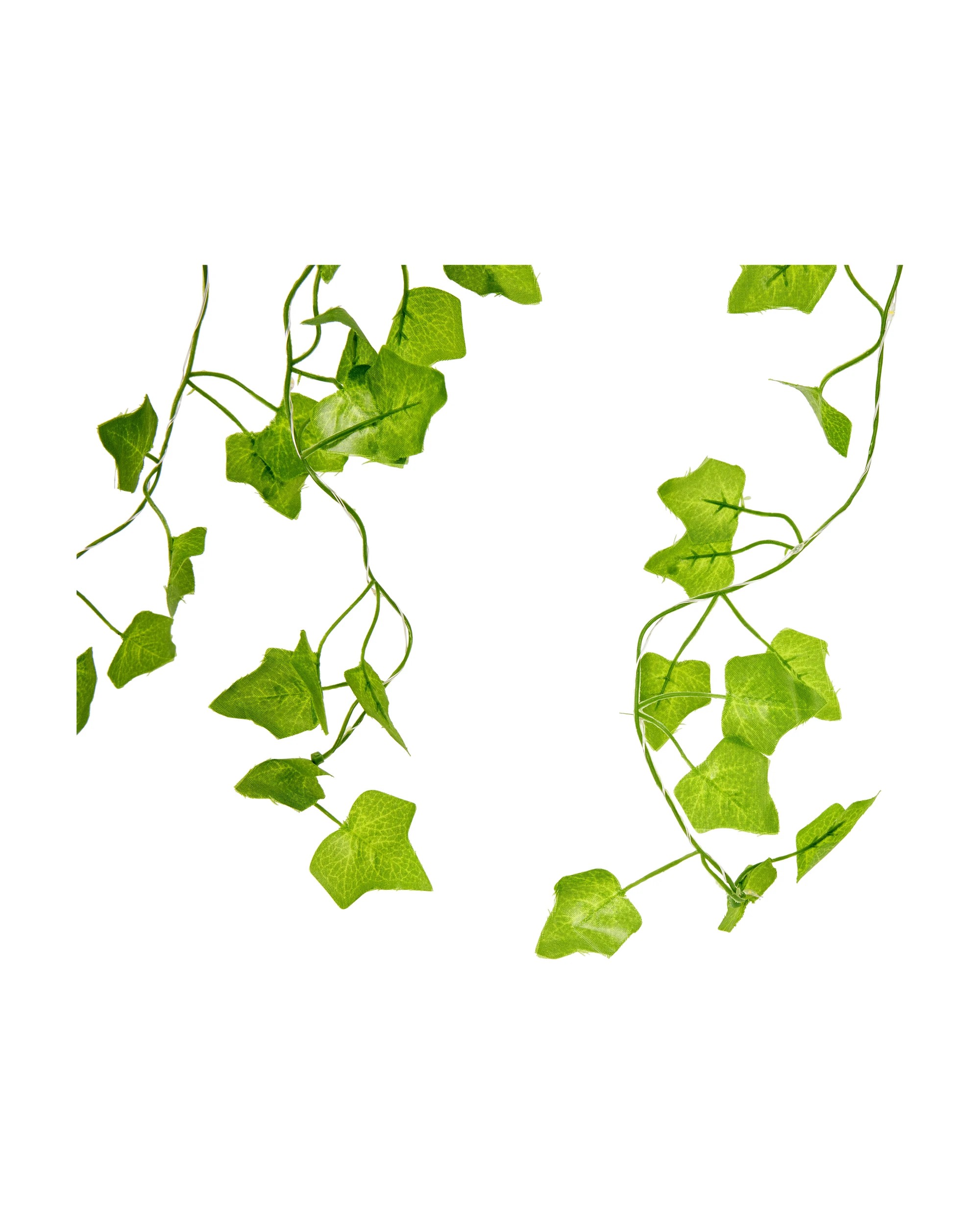 4 Ivy Garland Curtain Light, 4 of 6