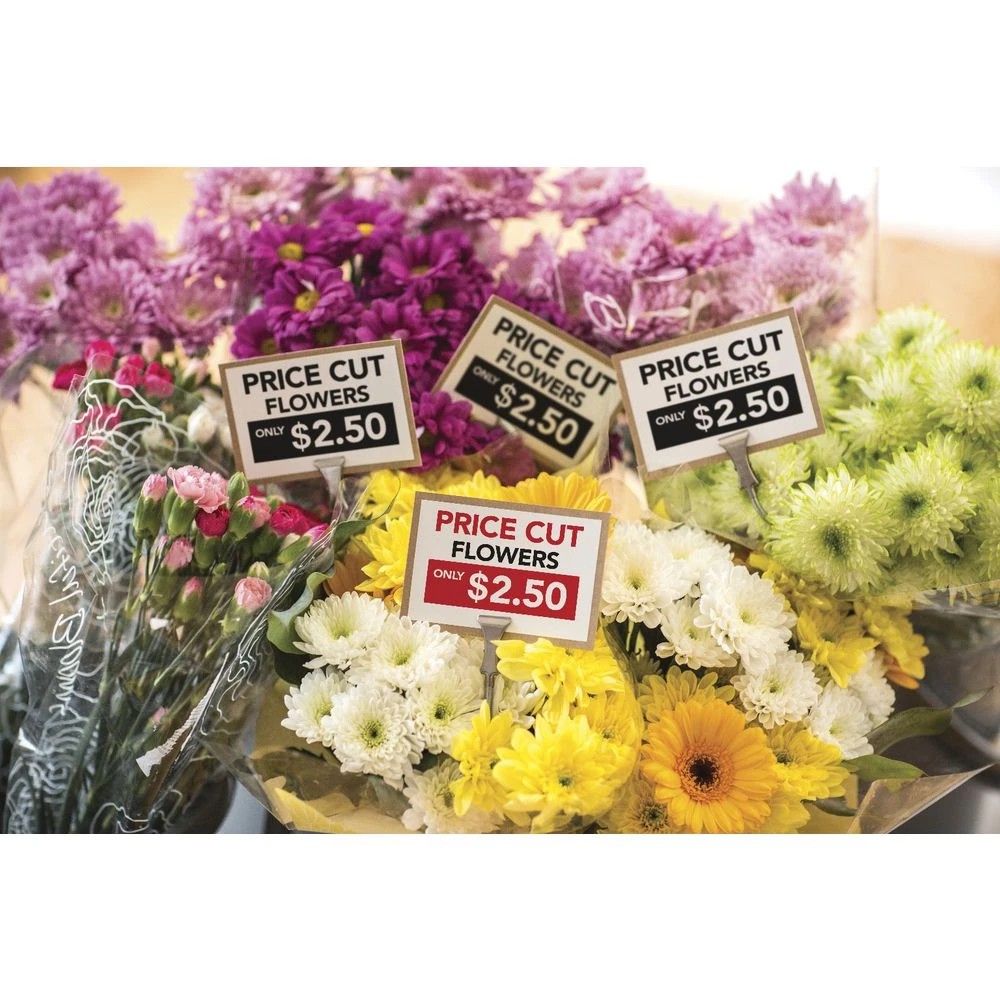 5 Brother Pro Label Printer QL-800, 5 of 8