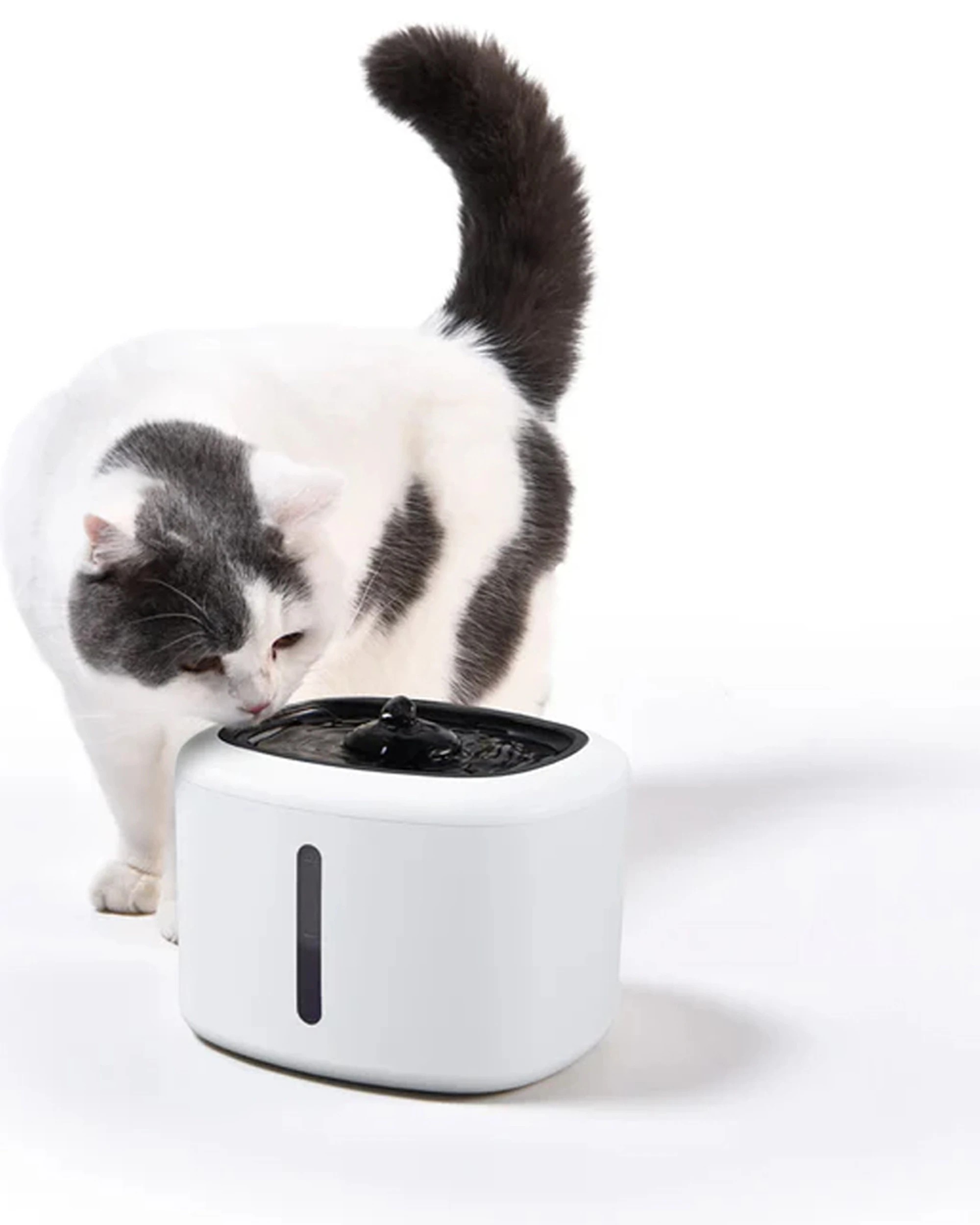 3 Lenoxx Smart 2.5L Pet Dog Cat Drinking Fountain Filtered Flowing Water - White, 3 of 4