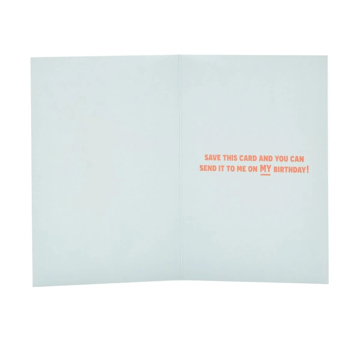 2 Hallmark Birthday Card - Cheeky Chameleon, 2 of 3