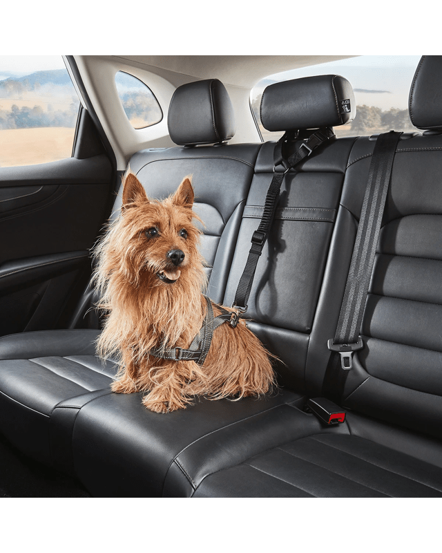 Pet Car Head Rest Te