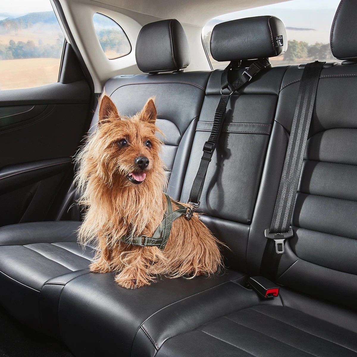 1 Pet Car Head Rest Tether, 1 of 9