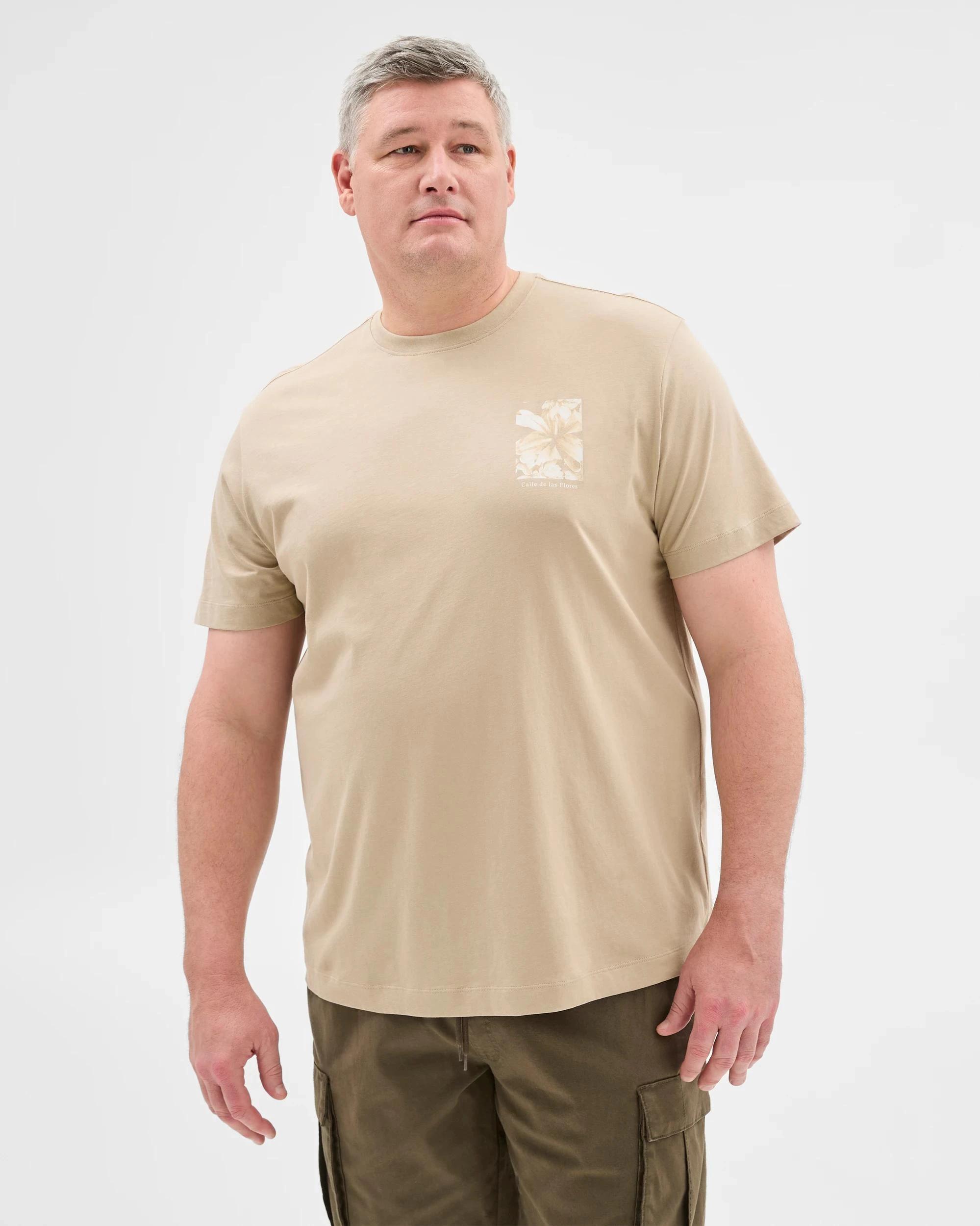 2 Target Plus Size Australian Cotton Fashion T-Shirt TAN, 2 of 5