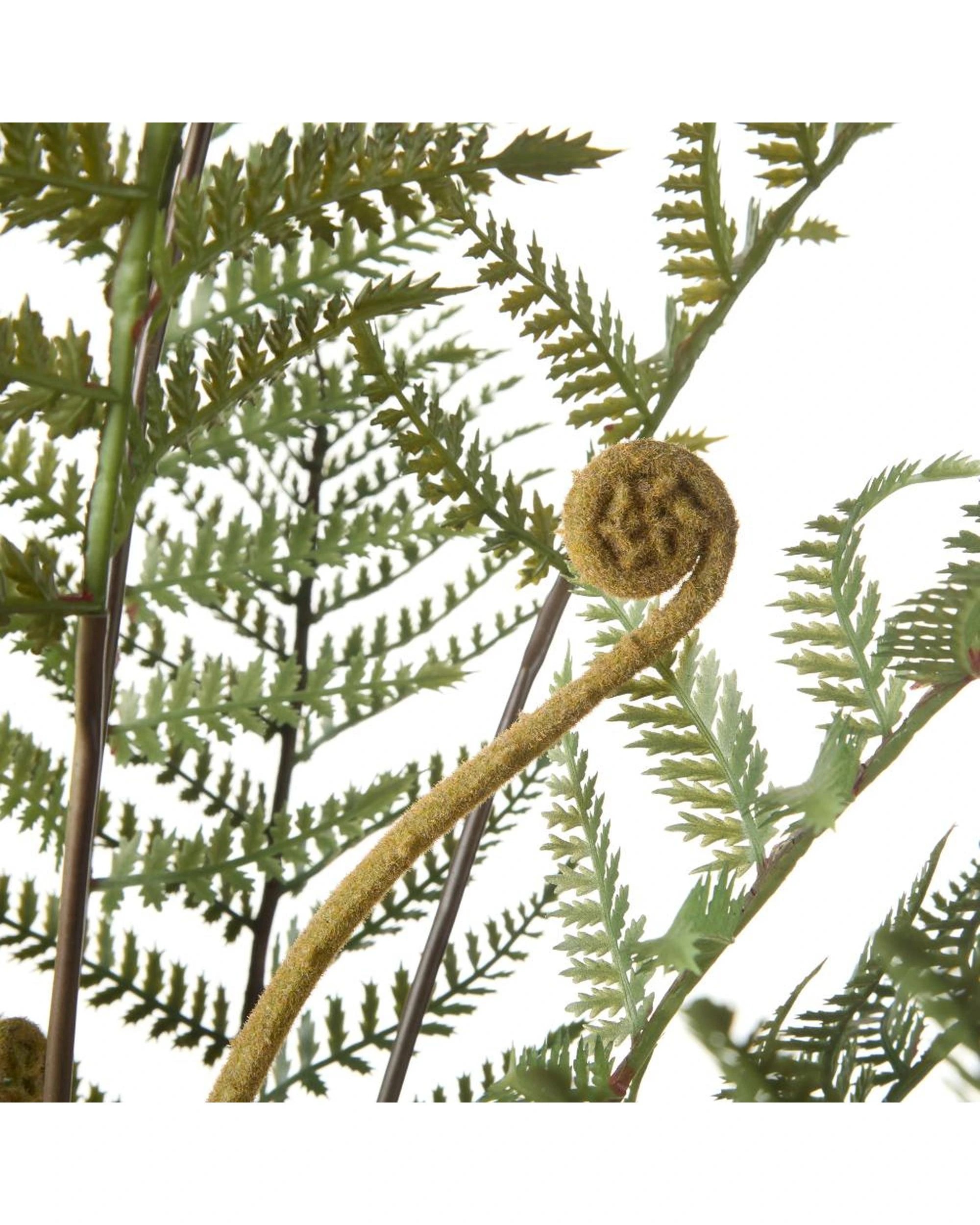 2 Rogue Fern Artificial Pot Plant  Green 133x79x79cm - Green, 2 of 3