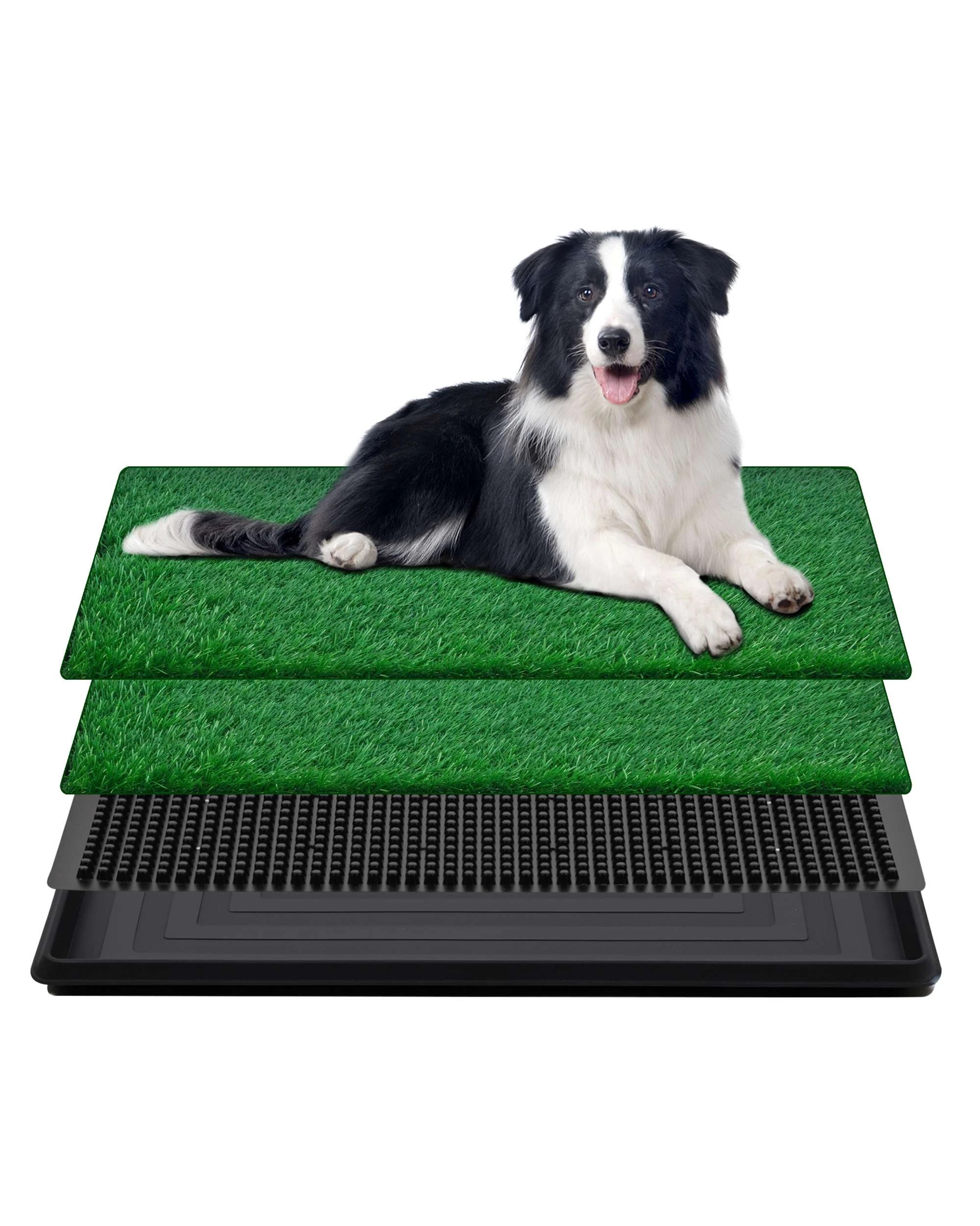 2 Advwin Dog Potty Training Pee Pad Mat Toilet, 2 of 7