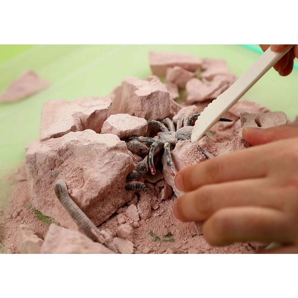 6 4M Kidzlabs Creepy Crawly Digging Kit, 6 of 6