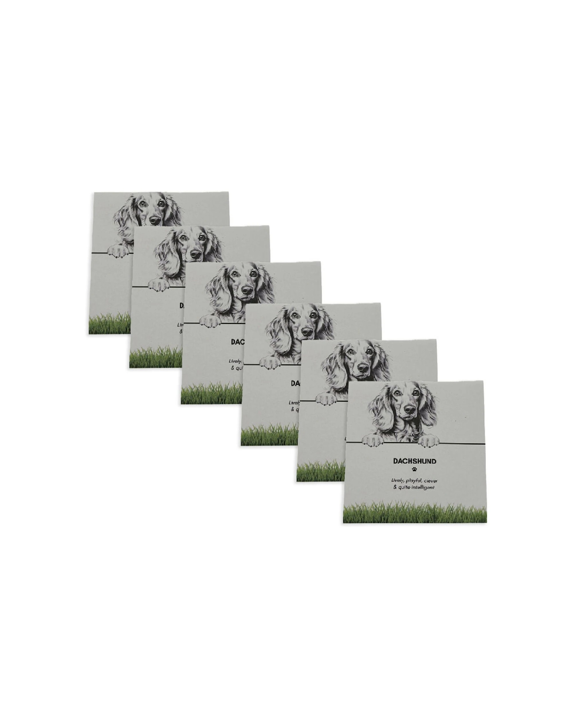 1 Bramble Bay 6PK Pet Kitchen Coaster Dachshund Dog Lover Set - Multi, 1 of 2
