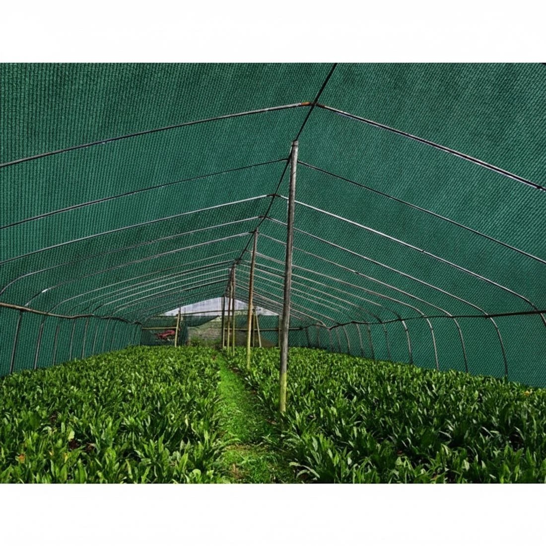 4 Instahut 90% Shade Cloth 3.66x10m Shadecloth Sail Heavy Duty - Green, 4 of 5