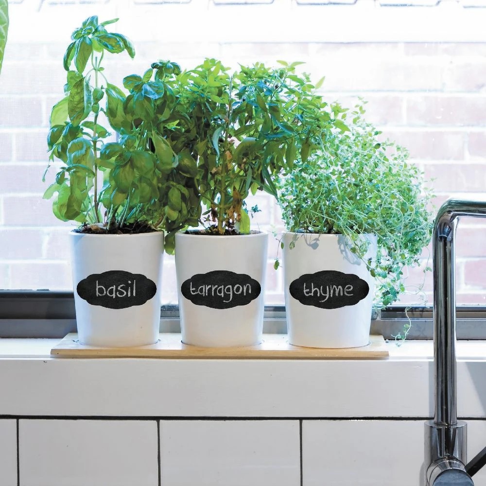 2 Avery Scallop Chalkboard Labels Black 12 Pack, 2 of 2