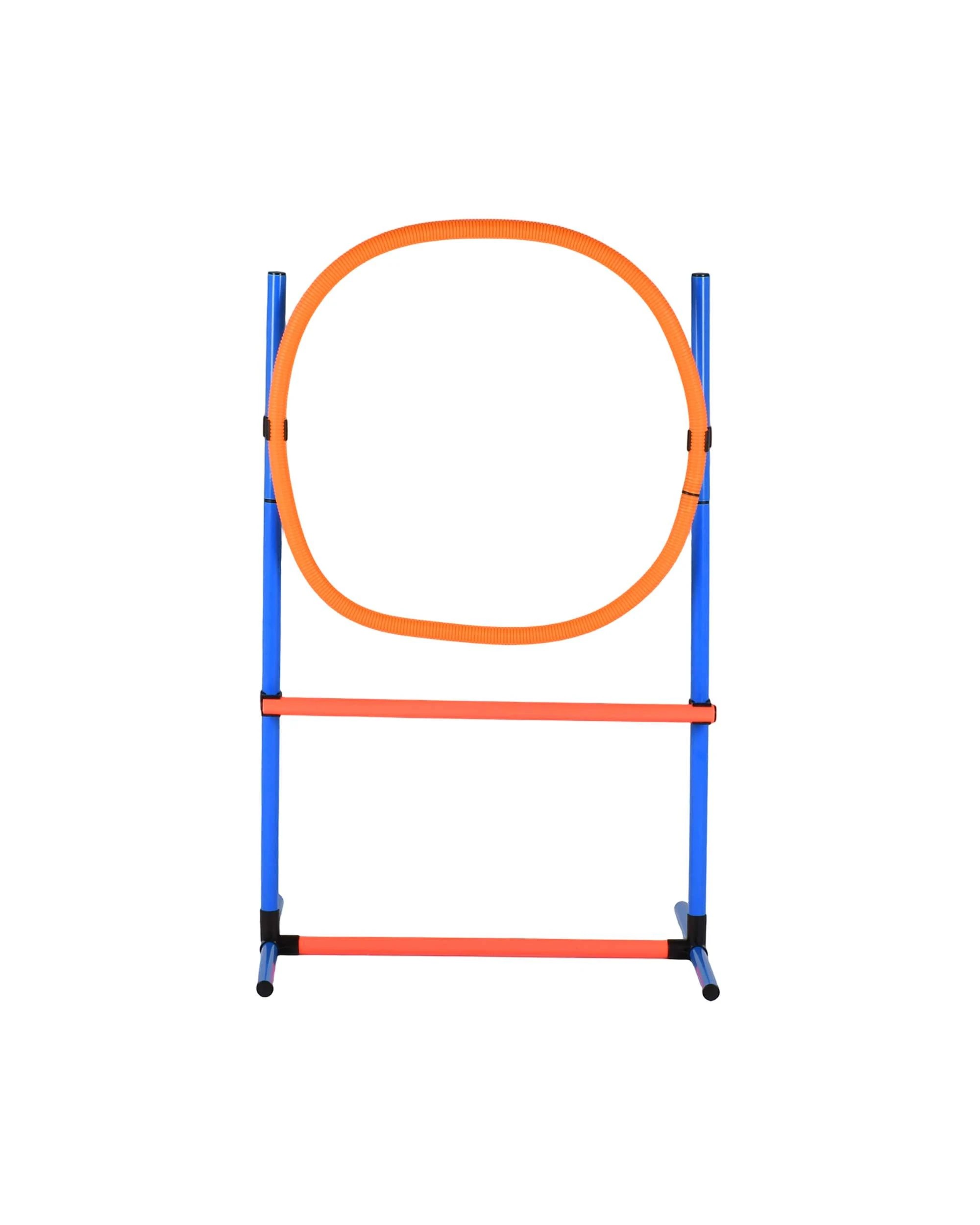 4 Advwin Dog Agility Training Equipment Set Pet Outdoor Game, 4 of 7