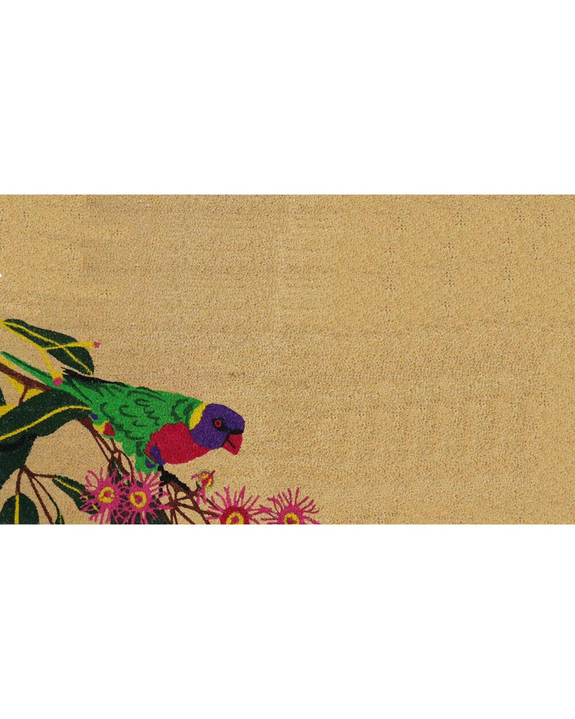 1 Solemate PVC Backed Coconut Coir Lorikeet Bird Doormat 45x75cm Home Furnishings - Natural, 1 of 1