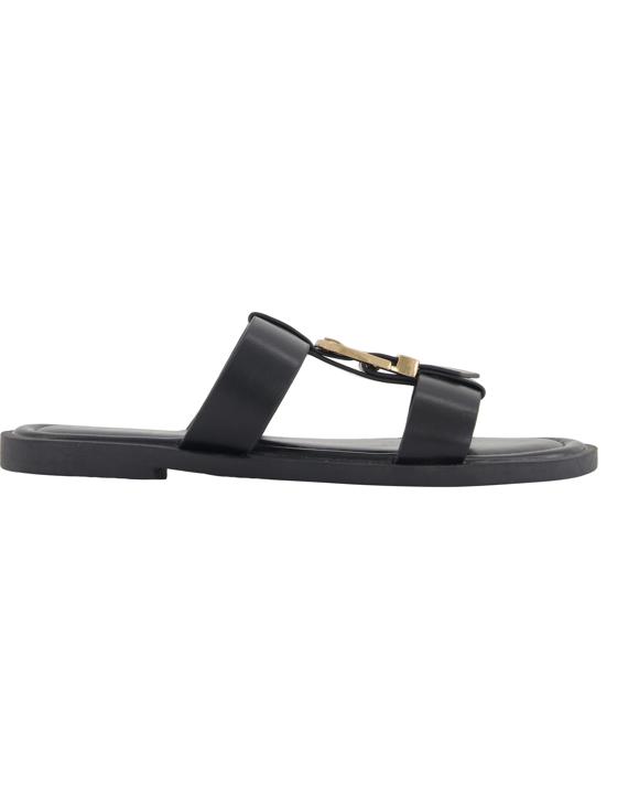 Hardware Chain Slides