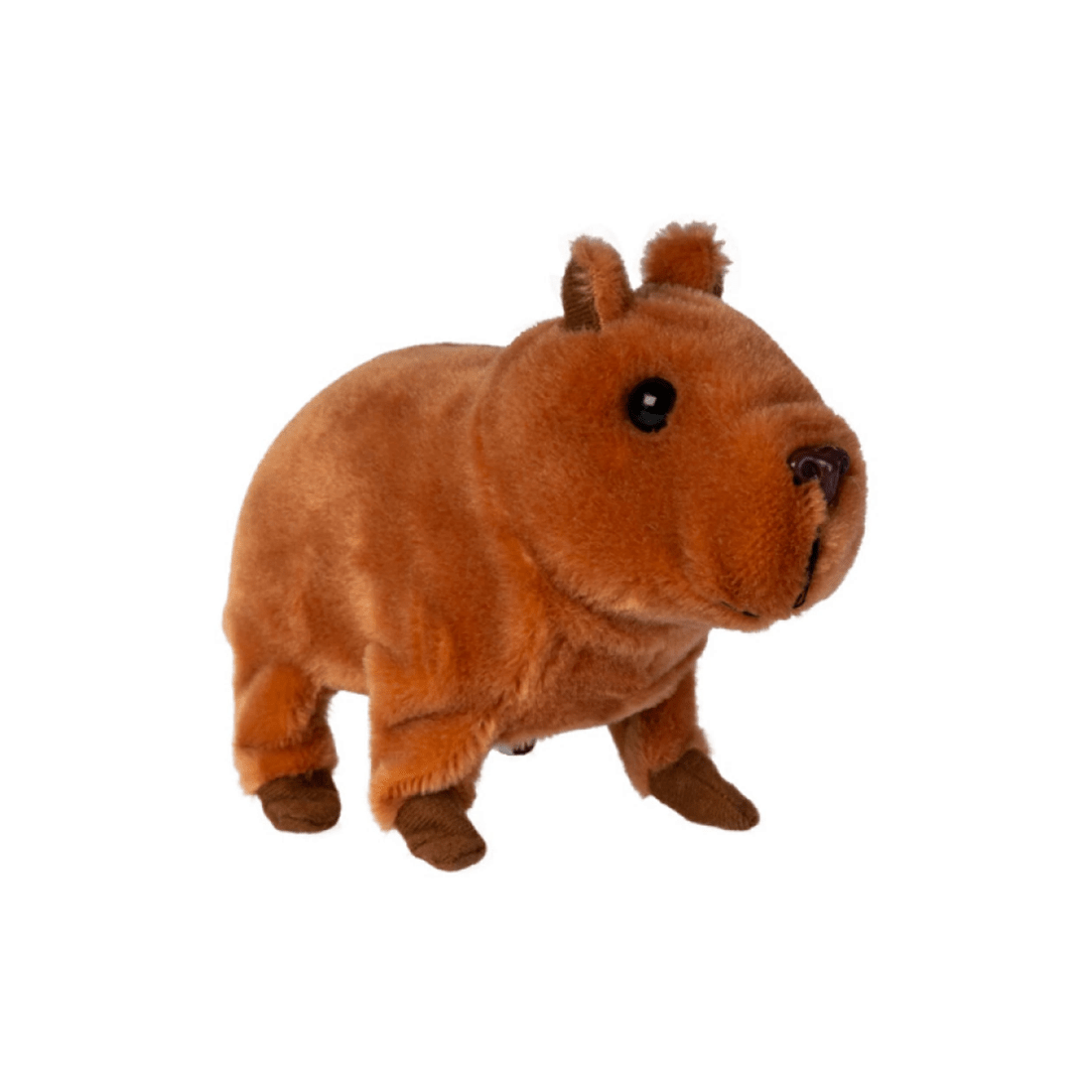 3 MDI Aus Baby Capybara Animated Pet Toy, 3 of 3