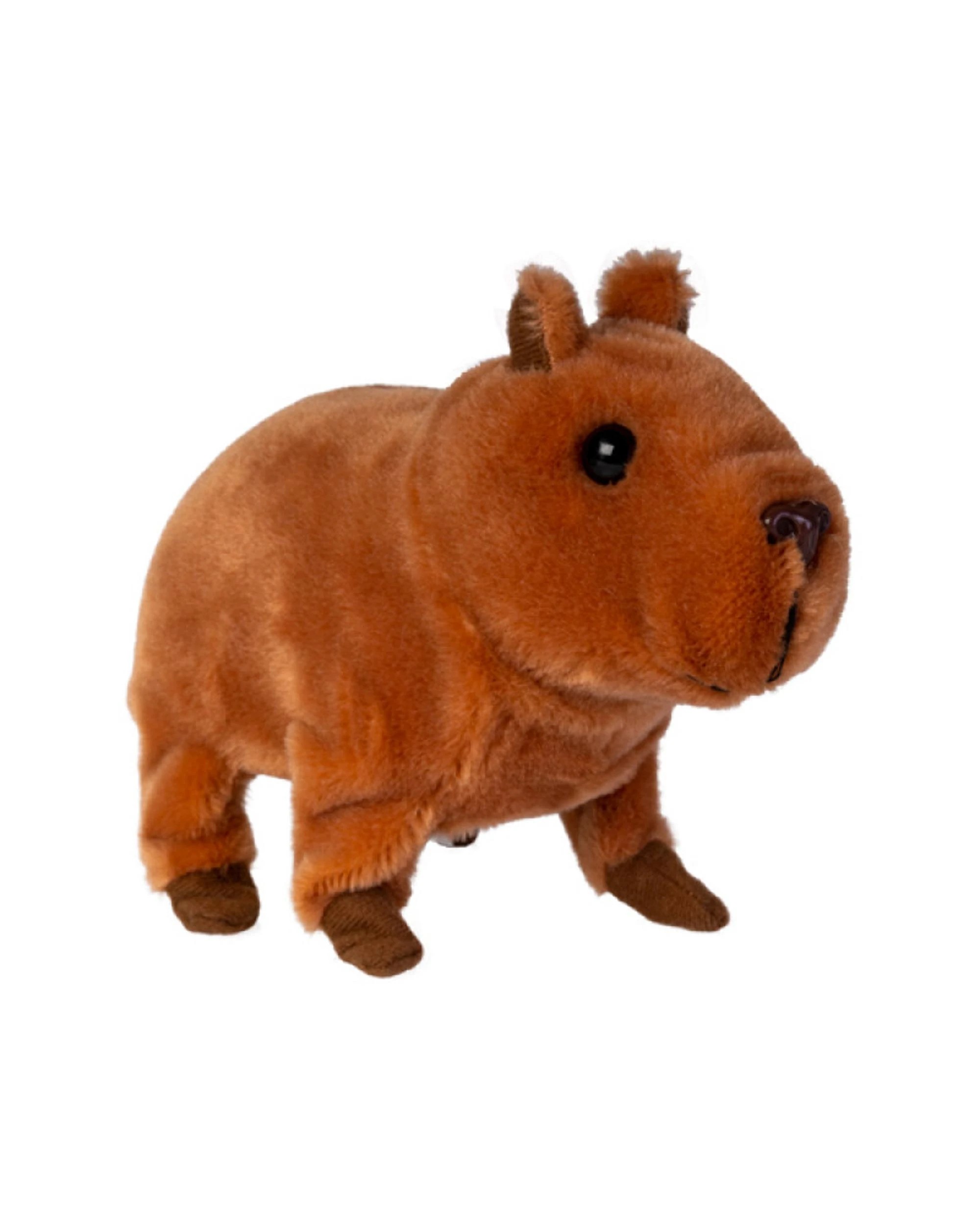 3 Baby Capybara Animated Pet Toy, 3 of 3