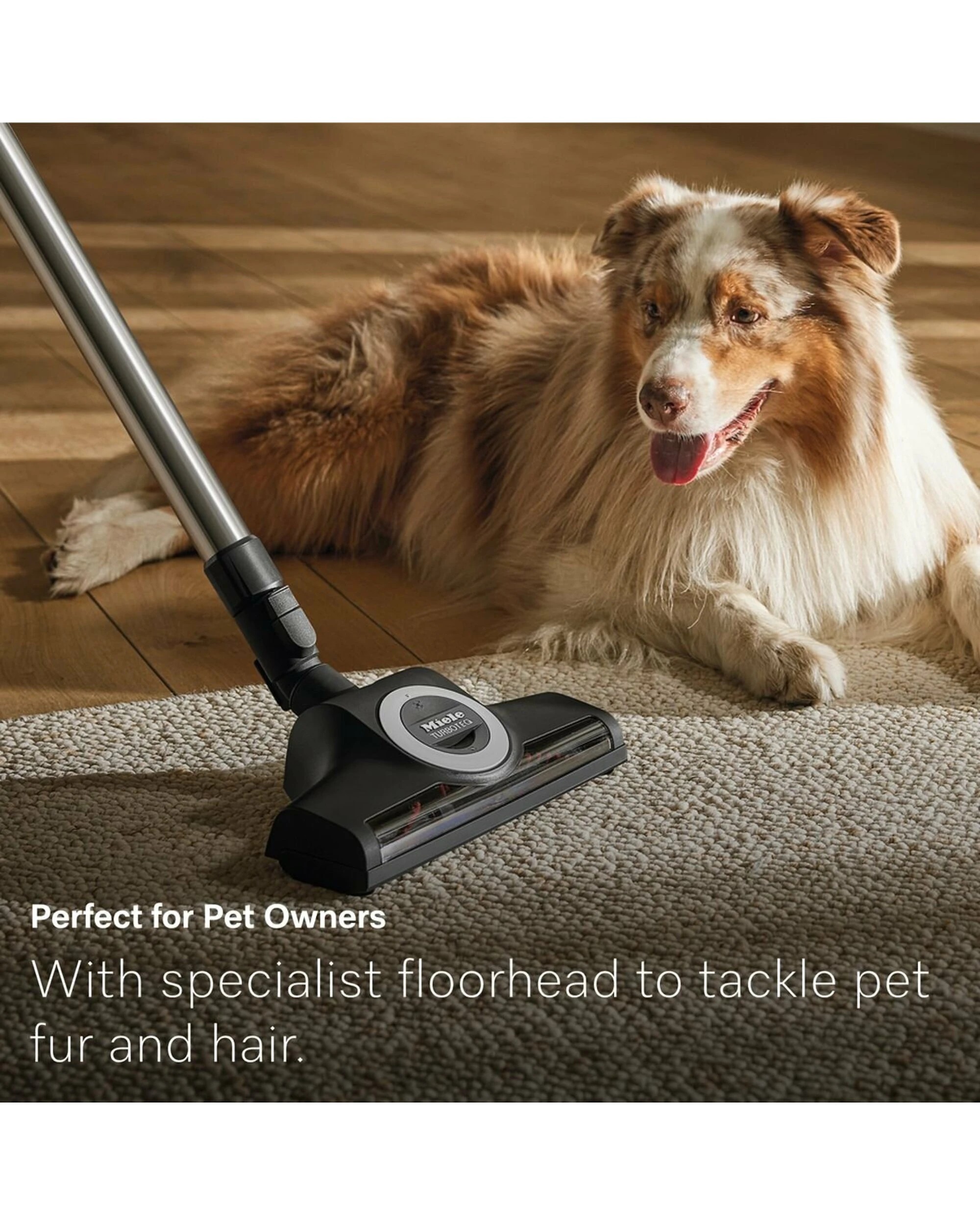 10 Miele Guard L1 Comfort XL Bagged Vacuum Cleaner Titanium Pearl, 10 of 10