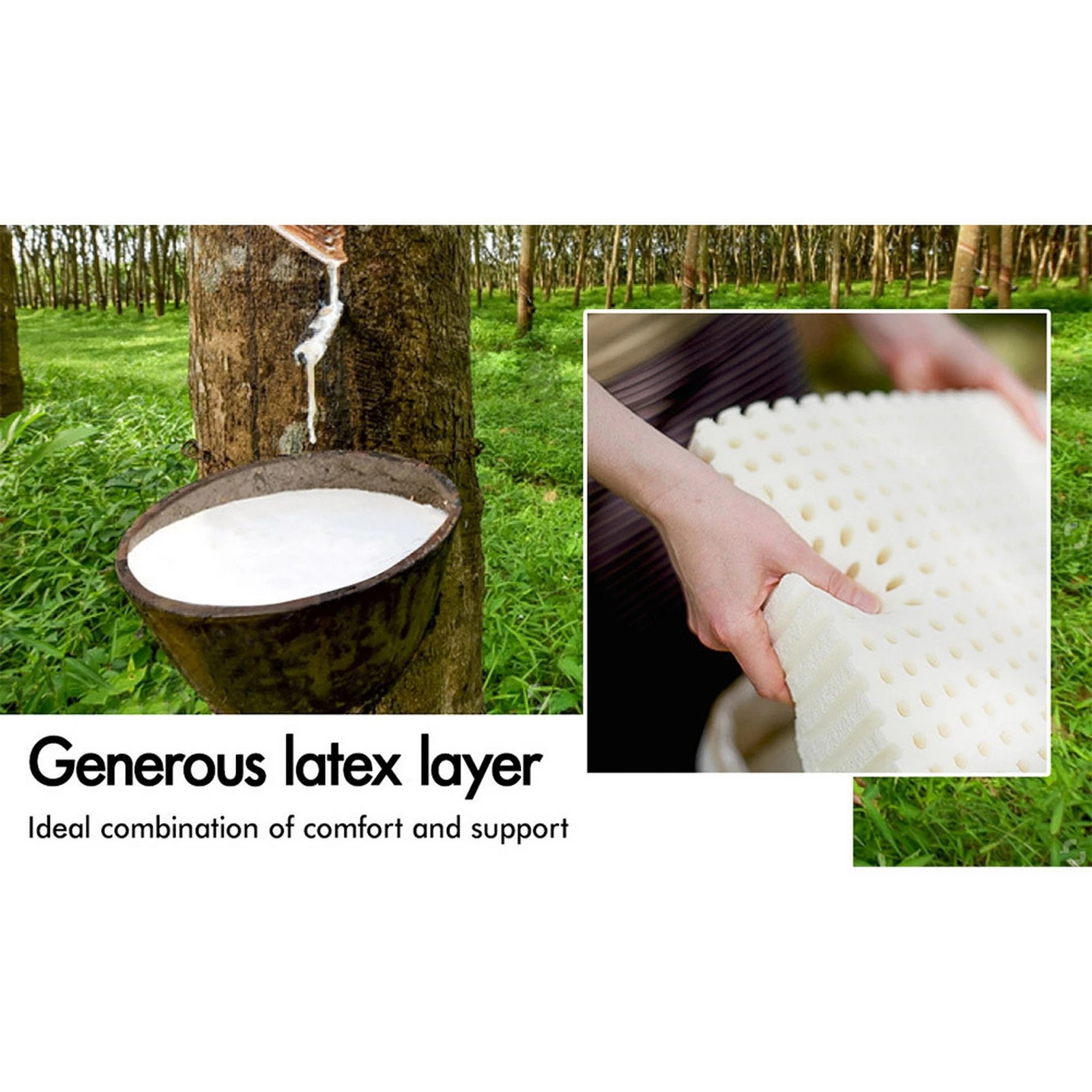 6 Starry Eucalypt Mattress Pocket Spring Latex Euro Top 34cm 5 zone - Single Bed, 6 of 10