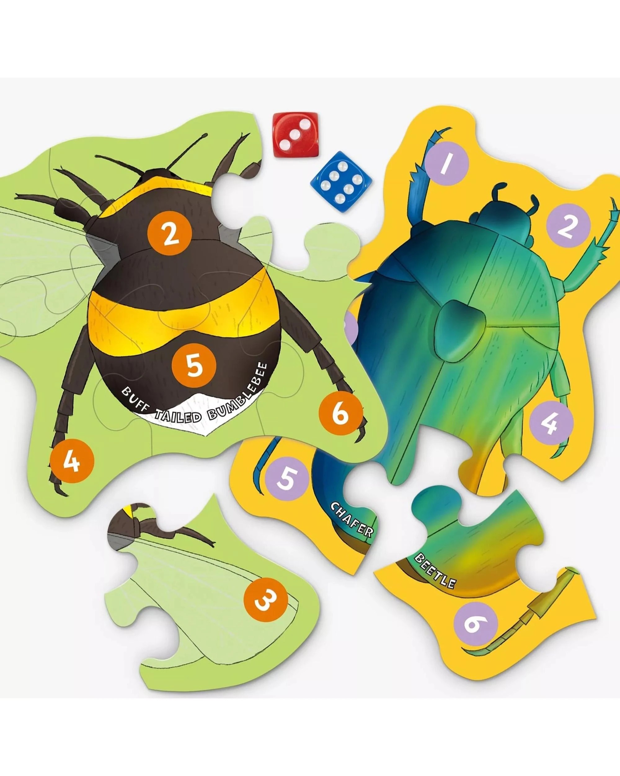 4 Galt Let's Learn Tiny Creatures Activity Kit, 4 of 6