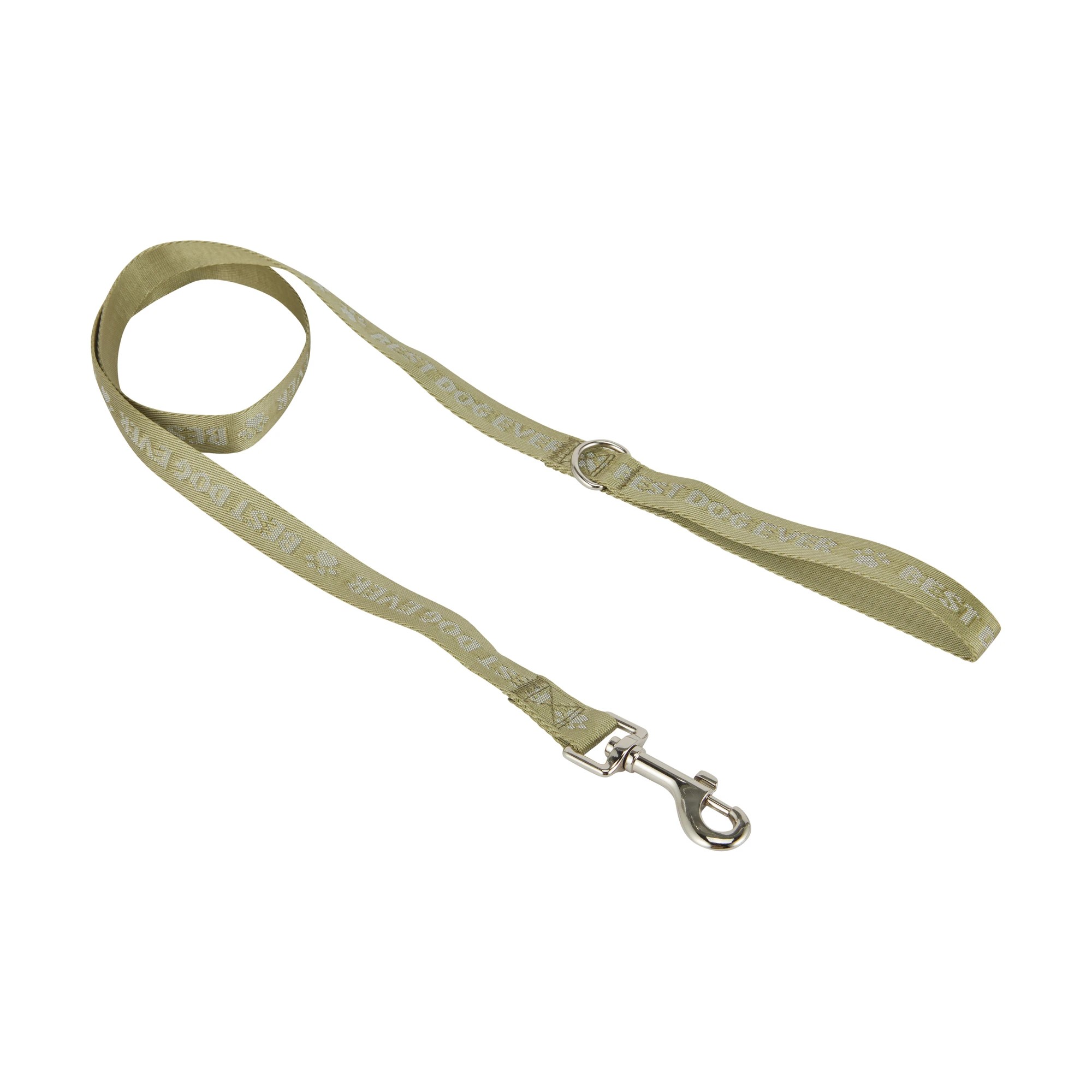 3 Best Dog Ever Collar and Lead Set - Medium, Green, 3 of 5
