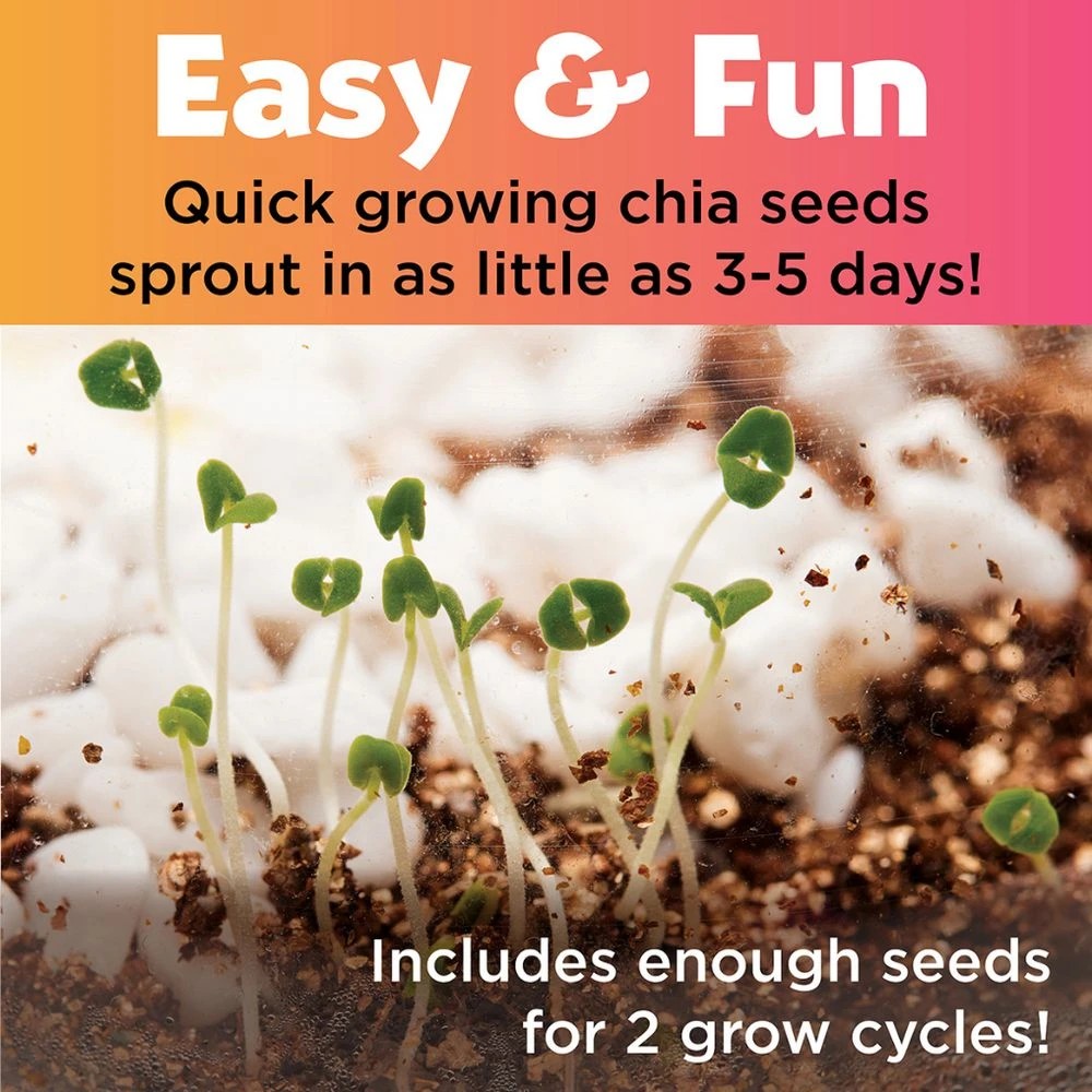6 Creativity for Kids Unicorn Terrarium, 6 of 6